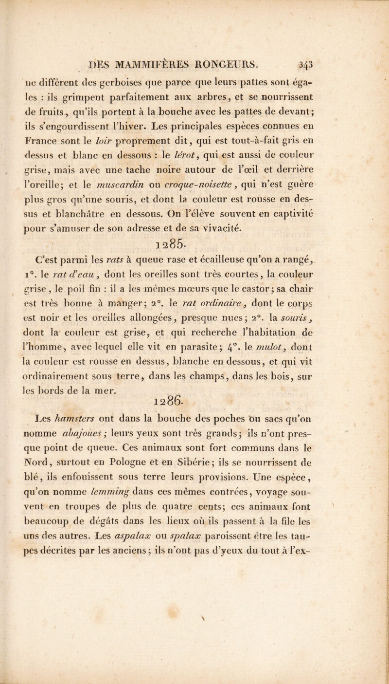 ne diffèrent des gerboises que parce que leurs pattes sont éga- les : ils grimpent parfaitement aux arbres, et se nourrissent de fruits, qu’ils portent à la bouche avec les pattes de devant; ils s’engourdissent l’hiver. Les principales espèces connues en France sont le loir proprement dit, qui est tôut-à-fait gris en dessus et blanc en dessous : le lérot, qui est aussi de couleur grise, mais avec une tache noire autour de l’œil et derrière l’oreille; et le muscardin ou croque-noisette, qui n’est guère plus gros qu’une souris, et dont la couleur est rousse en des- sus et blanchâtre en dessous. On l’élève souvent en captivité pour s’amuser de son adresse et de sa vivacité. 1285. C’est parmi les rats à queue rase et écailleuse qu’on a rangé, i°. le rat d'eau y dont les oreilles sont très courtes, la couleur grise , le poil fin : il a les mêmes mœurs que le castor; sa chair est très bonne à manger; 20. le rat ordinaire3 dont le corps est noir et les oreilles allongées, presque nues; . la souris, dont la couleur est grise, et qui recherche l’habitation de l’homme, avec lequel elle vit en parasite; 4°* le mulot, dont la couleur est rousse en dessus, blanche en dessous, et qui vit ordinairement sous terre, dans les champs, dans les bois, sur les bords de la mer. 12 86. Les hamsters ont dans la bouche des poches ou sacs qu’on nomme abajoues ; leurs yeux sont très grands; ils n’ont pres- que point de queue. Ces animaux sont fort communs dans le Nord, surtout en Pologne et en Sibérie; ils se nourrissent de blé, ils enfouissent sous terre leurs provisions. Une espèce, qu’on nomme lemming dans ces mêmes contrées, voyage sou- vent en troupes de plus de quatre cents; ces animaux font beaucoup de dégâts dans les lieux où ils passent à la file les uns des autres. Les aspalax ou spalax paroissent être les tau- pes décrites par les anciens ; ils n’ont pas d’yeux du tout à l’ex-