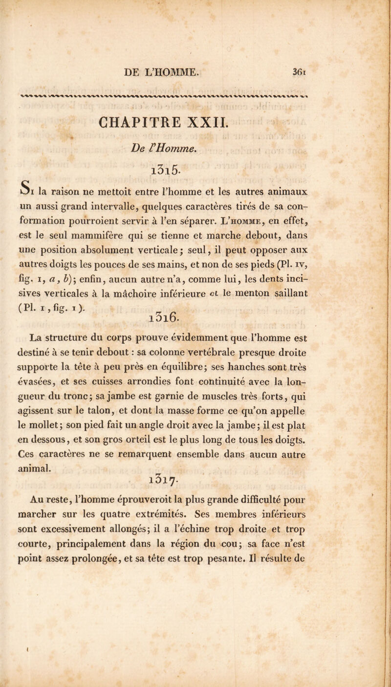 )'.. . '■ ■,;... , r, ; , • • ,! ,;'.... . CHAPITRE XXII. De VHomme. l3i5- Si la raison ne mettoit entre l’homme et les autres animaux un aussi grand intervalle, quelques caractères tirés de sa con- formation pourroient servir à l’en séparer. L’homme, en effet, est le seul mammifère qui se tienne et marche debout, dans une position absolument verticale ; seul, il peut opposer aux autres doigts les pouces de ses mains, et non de ses pieds (Pl. iv, fig. i, a, b) \ enfin, aucun autre n’a, comme lui, les dents inci- sives verticales à la mâchoire inférieure ci le menton saillant (Pl. i ,fig. i). l5l6- La structure du corps prouve évidemment que l’homme est destiné à se tenir debout : sa colonne vertébrale presque droite supporte la tête à peu près en équilibre; ses hanches sont très évasées, et ses cuisses arrondies font continuité avec la lon- gueur du tronc; sa jambe est garnie de muscles très forts, qui agissent sur le talon, et dont la masse forme ce qu’on appelle le mollet; son pied fait un angle droit avec la jambe; il est plat en dessous, et son gros orteil est le plus long de tous les doigts. Ces caractères ne se remarquent ensemble dans aucun autre animal. l3l7- Au reste, l’homme éprouveroit la plus grande difficulté pour marcher sur les quatre extrémités. Ses membres inférieurs sont excessivement allongés; il a l’échine trop droite et trop courte, principalement dans la région du cou; sa face n’est point assez prolongée, et sa tête est trop pesante. Il résulte de