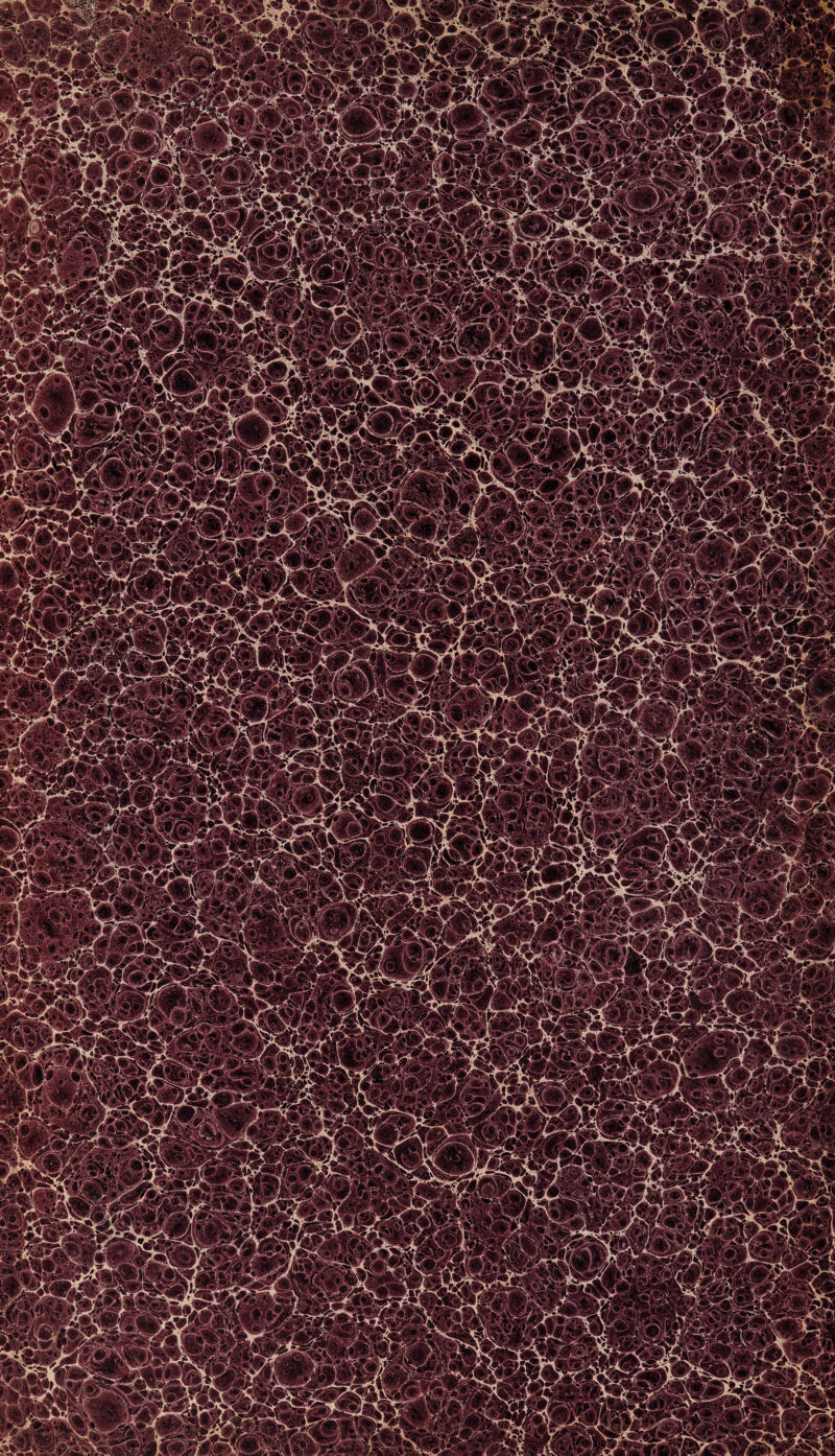 Ippjjjgpfei Iffl K r T--^gaf sêv'6^*®’ sWÊSrWtMmP^&* jœ^JRSpÈ! Wy WP®?» «Sfc*Si> iéi^sés ;;i '