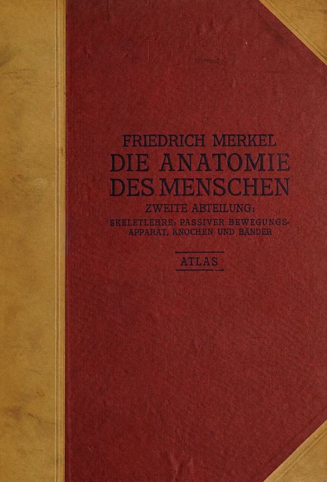 digitised image 1