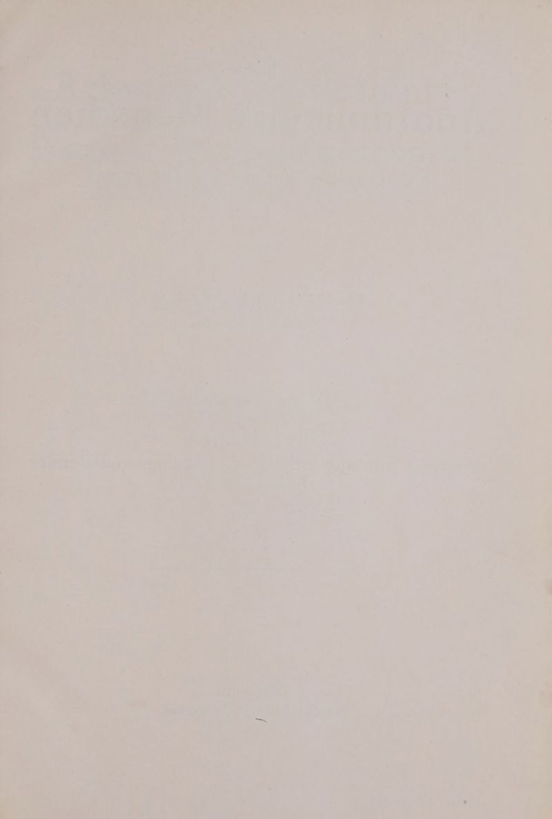 1 “ ART: RER TEE TZE DI nr L2r, (we, n h Ne - rs rc a ah FAN (1 en) g “ - in h # E » f 0 u = : R .r, A: er f nn DB % R _ Las} v 4 a nen? - gi & v j £ N w s Nr “ Br u E FON er r , a, = da y- 4 ü x r f ‘ A ’ j) Le 7 „ - ı i r a „er Zee a . \ . , Ba “ L A ee = ’ t a N . IN * % \ u SZ v .& - 15 u 2 V I e D ar n a - w e 4 i is “ er > i = u er I? Ni vo - Vu 27 are iu I vu eo. i