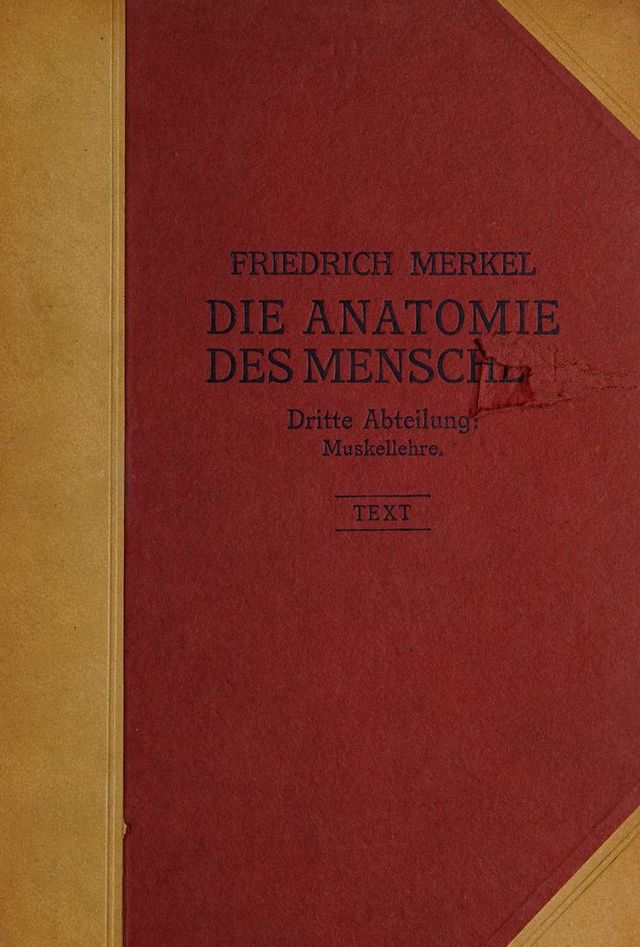 digitised image 1