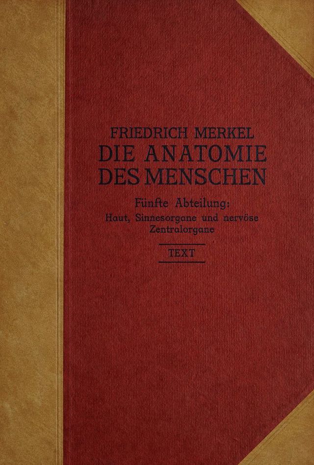 digitised image 1
