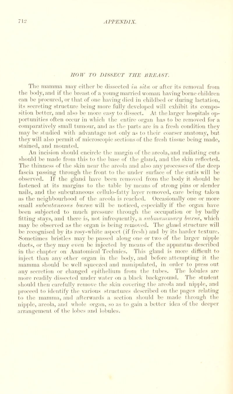 HOW TO DISSECT THE BREAST. The mamma may either be dissected in sitn or after its removal from the body, and if the breast of a young married woman having borne children can be procured, or that of one having died in childbed or during lactation, its secreting structure being more fully developed will exhibit its compo¬ sition better, and also be more easy to dissect. At the larger hospitals op¬ portunities often occur in which the entire organ has to be removed for a comparatively small tumour, and as the parts are in a fresh condition they may be studied with advantage not only as to their coarser anatomy, but they will also permit of microscopic sections of the fresh tissue being made, stained, and mounted. An incision should encircle the margin of the areola, and radiating cuts should be made from this to the base of the gland, and the skin reflected. The thinness of the skin near the areola and also any processes of the deep fascia passing through the front to the under surface of the cutis will be observed. If the gland have been removed from the body it should be fastened at its margins to the table by means of strong pins or slender nails, and the subcutaneous cellulo-fatty layer removed, care being taken as the neighbourhood of the areola is reached. Occasionally one or more small subcutaneous bursce will be noticed, especially if the organ have been subjected to much pressure through the occupation or by badly fitting stays, and there is, not infrequently, a submammary bursa, which may be observed as the organ is being removed. The gland structure will be recognised by its rosy-white aspect (if fresh) and by its harder texture. Sometimes bristles may be passed along one or two of the larger nipple ducts, or they may even be injected by means of the apparatus described in the chapter on Anatomical Technics. This gland is more difficult to inject than any other organ in the body, and before attempting it the mamma should be well squeezed and manipulated, in order to press out any secretion or changed epithelium from the tubes. The lobules are more readily dissected under water on a black background. The student should then carefully remove the skin covering tin1 areola and nipple, and proceed to identify the various structures described on the pages relating to the mamma, and afterwards a section should be made through the nipple, areola, and whole organ, so as to gain a better idea of the deeper arrangement of the lobes and lobules.