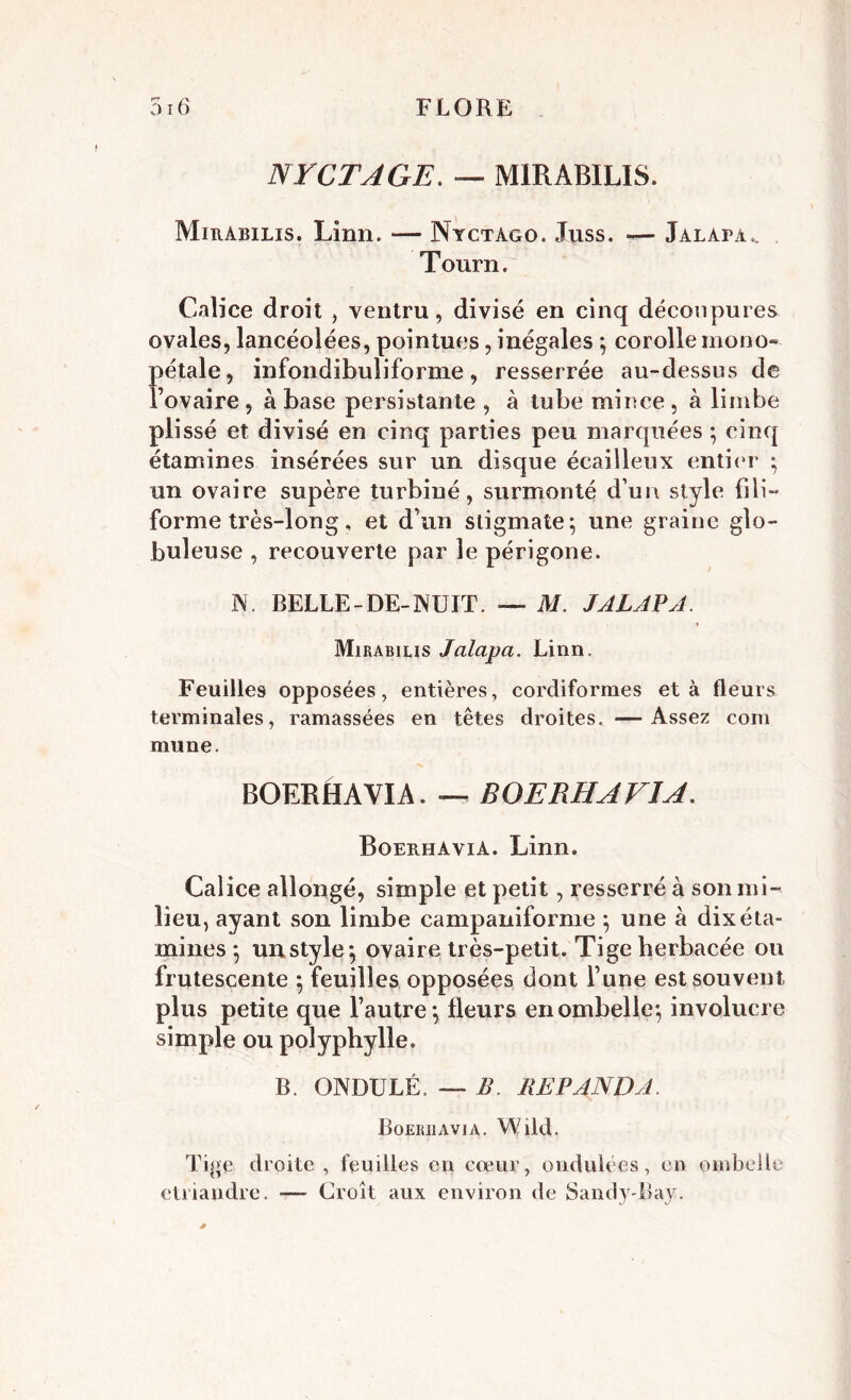 rr /x NYCTAGE. — MIRABILIS. Mirabilis. Linn. — NyctAgo. Juss. — Jalapa*. Tourn. Calice droit , ventru, divisé en cinq découpures ovales, lancéolées, pointues, inégales ; corolle mono- pétale, infondibuliforme, resserrée au-dessus de l’ovaire, à base persistante , à tube mince, à limbe plissé et divisé en cinq parties peu marquées ; cinq étamines insérées sur un disque écailleux entier ; un ovaire supère turbiné, surmonté d’un style fsli- forme très-long, et d’un stigmate; une graine glo- buleuse , recouverte par le périgone. N. BELLE-DE-NUIT. — M. JALAPA. Mirabius Jalapa. Linn. Feuilles opposées, entières, cordiformes et à fleurs terminales, ramassées en têtes droites. —Assez corn mune. BOERHAVIA. — BOERHAVIA. BoerhaviA. Linn. Calice allongé, simple et petit, resserré à son mi- lieu, ayant son limbe campaniforme ; une à dix éta- mines ; unstyle; ovaire très-petit. Tige herbacée ou frutescente ; feuilles opposées dont l’une est souvent plus petite que l’autre; fleurs en ombelle; involucre simple ou polyphylle. B. ONDULÉ. — B. BEP AND A. Boerhavia. Wild. Tige droite, feuilles en coeur, ondulées, en ombelle ctriandre. —- Croît aux environ de Sandy-Bay.