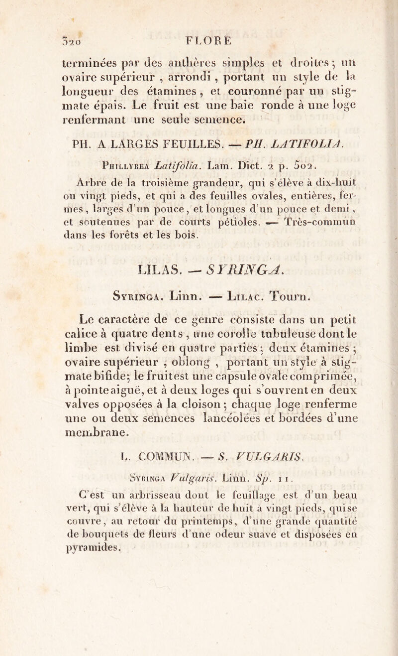 terminées par des anthères simples et droites-, un ovaire supérieur , arrondi , portant un style de la longueur des étamines , et couronné par un stig- mate épais. Le fruit est une haie ronde à une loge renfermant une seule semence. PH. A LARGES FEUILLES. — PH. LATIFOLIA. Phillyrea Latifolla. Lam. Dict. 2 p. 5oa. Arbre de la troisième grandeur, qui s’élève à dix-huit ou vingt pieds, et qui a des feuilles ovales, entières, fer- mes , larges d’un pouce , et longues d’un pouce et demi , et soutenues par de courts pétioles. — Très-commun dans les forêts et les bois. LILAS. — S Y RING A. Syuinga. Linn. — Lilac. Tourn. Le caractère de ce genre consiste dans un petit calice à quatre dents , une corolle tubuleuse dont le limbe est divisé en quatre parties; deux étamines ; ovaire supérieur , obiong , portant un style à stig- mate bifide^ le fruitest une capsule ovale comprimée, a pointe aiguë, et à deux loges qui s ouvi ent en deux valves opposées à la cloison; chaque loge renferme une ou deux semences lancéolées et bordées d’une membrane. L. COMMUA. — S. VULGARIS. Syringa Vulgaris. Linn. Su. 11. C’est un arbrisseau dont le feuillage est d’un beau O vert, qui s’élève à la hauteur de huit à vingt pieds, qui se couvre, au retour du printemps, d’une grande quantité de bouquets de fleurs d’une odeur suave et disposées en pyramides.