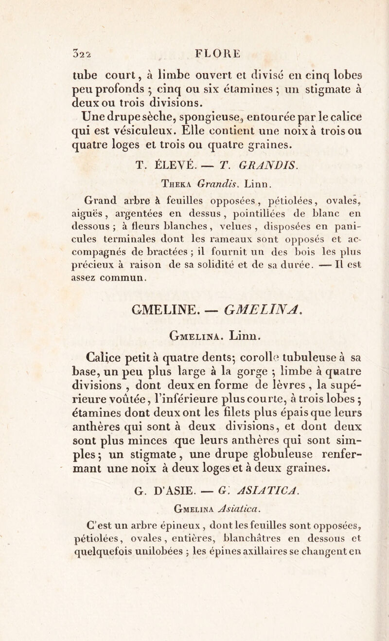 tube court, à limbe ouvert et divisé en cinq lobes peu profonds ; cinq ou six étamines ; un stigmate à deux ou trois divisions. Une drupe sèche, spongieuse, entourée par ie calice qui est vésiculeux. Elle contient une noix à trois ou quatre loges et trois ou quatre graines. T. ÉLEVÉ. — T. GRANDIS. Theka Grandis. Linn. Grand arbre à feuilles opposées, pétiolées, ovales, aiguës, argentées en dessus, pointiliées de blanc en dessous ; à fleurs blanches, velues , disposées en pani- cules terminales dont les rameaux sont opposés et ac~ compagnés de bractées ; il fournit un des bois les plus précieux à raison de sa solidité et de sa durée. —- Il est assez commun. GMELINE. — GMELINA. Gmelina. Linn. Calice petit à quatre dents-, corolle tubuleuse à sa base, un peu plus large à la gorge -, limbe à quatre divisions , dont deux en forme de lèvres , la supé- rieure voûtée, l’inférieure plus courte, à trois lobes ; étamines dont deux ont les filets plus épais que leurs anthères qui sont à deux divisions, et dont deux sont plus minces que leurs anthères qui sont sim- ples \ un stigmate, une drupe globuleuse renfer- mant une noix à deux loges et à deux graines. G. D’ASIE. — G; AS IA TIC A. Gmelina Asialica. C’est un arbre épineux , dont les feuilles sont opposées, pétiolées, ovales, entières, blanchâtres en dessous et quelquefois unilobées ; les épines axillaires se changent en