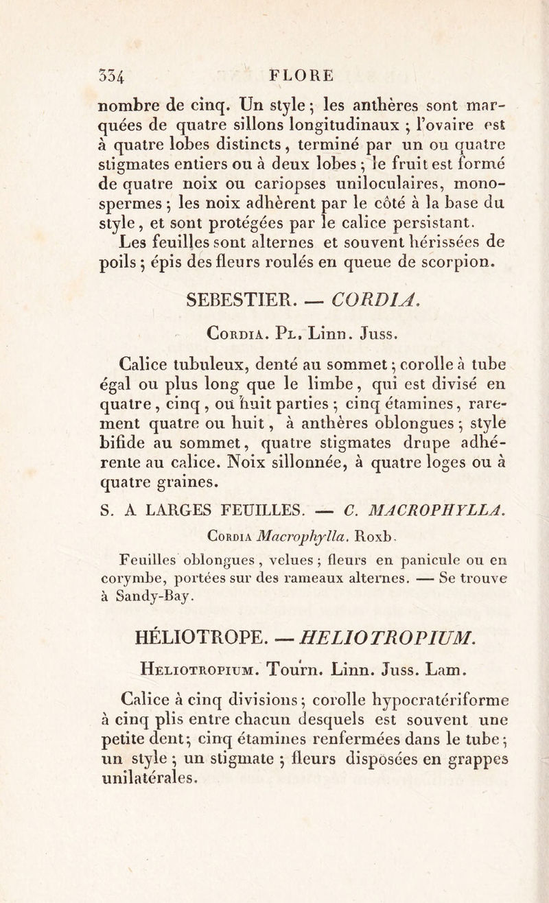 nombre de cinq. Un style ; les anthères sont mar- quées de quatre sillons longitudinaux ; l’ovaire est à quatre lobes distincts, terminé par un ou quatre stigmates entiers ou à deux lobes ; le fruit est formé de quatre noix ou cariopses uniloculaires, mono- spermes ; les noix adhèrent par le côté à la base du style, et sont protégées par le calice persistant. Les feuilles sont alternes et souvent hérissées de poils ; épis des fleurs roulés en queue de scorpion. SEBESTIER. — CORDIA. Cordia. Pl, Linn. Juss. Calice tubuleux, denté au sommet ; corolle à tube égal ou plus long que le limbe, qui est divisé en quatre , cinq , ou huit parties ; cinq étamines, rare- ment quatre ou huit, à anthères oblongues ; style bifide au sommet, quatre stigmates drupe adhé- rente au calice. Noix sillonnée, à quatre loges ou à quatre graines. S. A LARGES FEUILLES. — C. MACROPHYLLA. Cordia Macrophylla. Roxb. Feuilles oblongues , velues; fleurs en panicule ou en corymbe, portées sur des rameaux alternes. — Se trouve à Sandy-Bay. HÉLIOTROPE. —HELIOTROPIUM. Heliotropium. Tourn. Linn. Juss. Lam. Calice à cinq divisions; corolle hypocratériforme à cinq plis entre chacun desquels est souvent une petite dent; cinq étamines renfermées dans le tube; un style ; un stigmate ; fleurs disposées en grappes unilatérales.