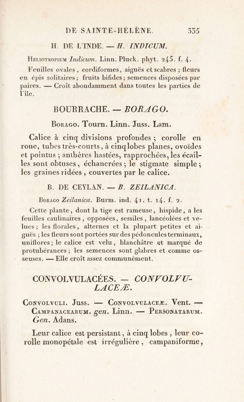 H. DE L’INDE. — //. INDICUM. Heliotkopium Indicum. Linn. Pluck. phyt. *24.5. f. 4- Feuilles ovales , cordiformes, aiguës et scabres ; fleurs en épis solitaires ; fruits bifides ; semences disposées par paires. — Croît abondamment dans toutes les parties de l’île. BOURRACHE. — BORAGO. Boràgo. Tourn. Linn. Juss. Lam, Calice à cinq divisions profondes ; corolle en roue, tubes très-courts, à cinqlobes planes, ovoïdes et pointus ; anthères hastées, rapprochées, les écail- les sont obtuses , échancrées -, le stigmate simple \ les graines ridées , couvertes par le calice. B. DE CEYLAN. — B. ZEILANICA. Rürago Zeilanica. Burm. ind. 41* t. *4- L 2* Cette plante , dont la tige est rameuse, hispide, a les feuilles caulinaires , opposées, sessiles , lancéolées et ve- lues ; les florales, alternes et la plupart petites et ai- guës ; les fleurs sont portées sur des pédoncules terminaux, uniflores ; le calice est velu, blanchâtre et marqué de protubérances ; les semences sont glabres et comme os- seuses. — Elle croît assez communément. CONVOLVULACÉES. — CONVOLVU- LACEÆ. Convolvuli. Juss. — Convolvulaceæ. Vent. — Campanacearum. gen. Linn. — Personatarum. Gen. Adans. Leur calice est persistant, à cinq lobes , leur co- rolle monopétale est irrégulière, campaniforme,