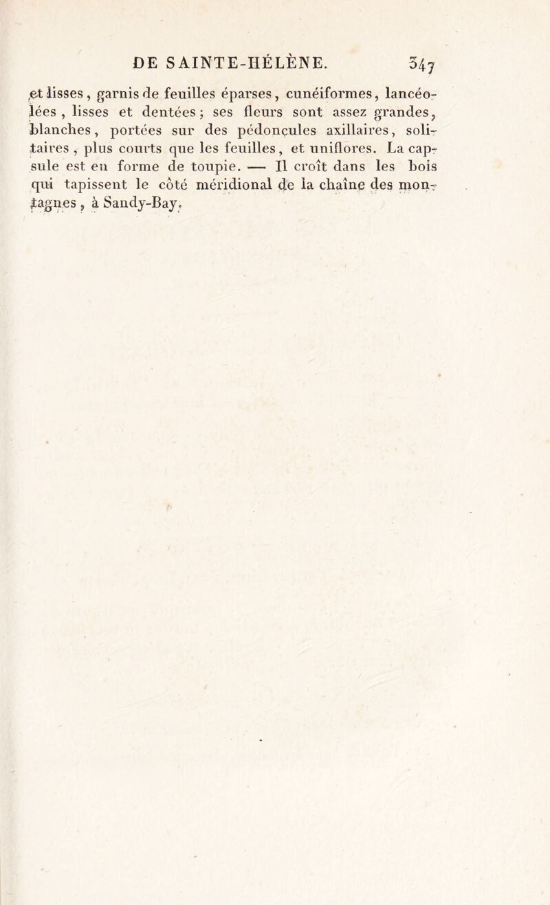 ,etlisses , garnis de feuilles éparses, cunéiformes, lancéo- lées , lisses et dentées; ses fleurs sont assez grandes, blanches, portées sur des pédoncules axillaires, soli- taires , plus courts que les feuilles, et uniflores. La cap- sule est eu forme de toupie. — Il croît dans les bois qui tapissent le côté méridional de la chaîne des monr gagnes , à Sandy-Bay.