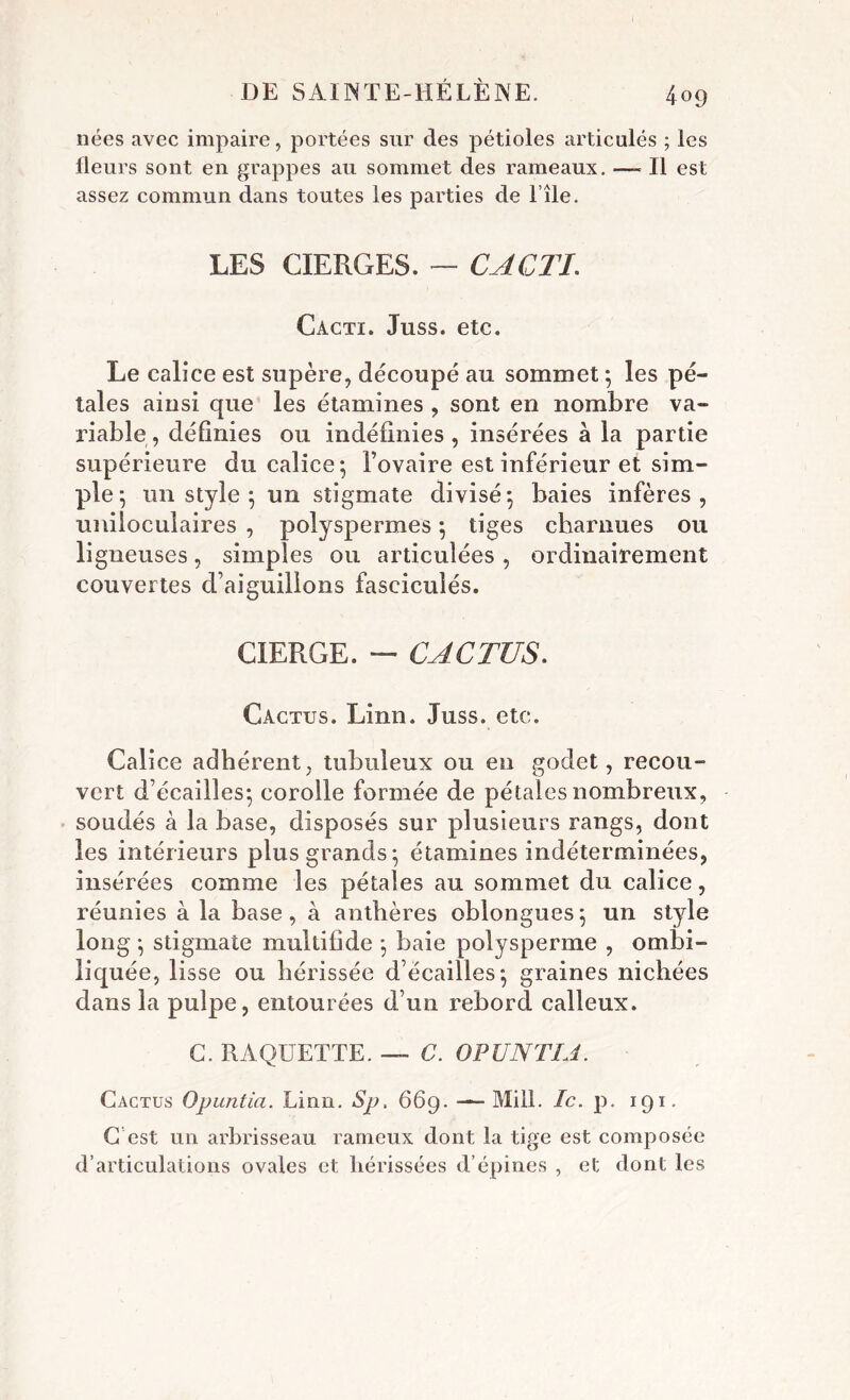 nées avec impaire, portées sur des pétioles articulés ; les fleurs sont en grappes au sommet des rameaux. —- Il est assez commun dans toutes les parties de l’île. LES CIERGES. — CA CTL Cacti. Juss. etc. Le calice est supère, découpé au sommet 5 les pé- tales ainsi que les étamines , sont en nombre va- riable , définies ou indéfinies, insérées à la partie supérieure du calice; l’ovaire est inférieur et sim- ple; un style ; un stigmate divisé; baies infères, uniloculaires , polyspermes ; tiges charnues ou ligneuses, simples ou articulées , ordinairement couvertes d’aiguillons fasciculés. CIERGE. — CACTUS. Cactus. Linn. Juss. etc. Calice adhérent, tubuleux ou en godet, recou- vert d’écailles; corolle formée de pétales nombreux, soudés à la base, disposés sur plusieurs rangs, dont les intérieurs plus grands; étamines indéterminées, insérées comme les pétales au sommet du calice, réunies à la base, à anthères oblongues; un style long ; stigmate multifîde ; baie polysperme , ombi- liquée, lisse ou hérissée d’écailles; graines nichées dans la pulpe, entourées d’un rebord calleux. G. RAQUETTE. — C. OPUNTIA. Cactus Opuntia. Linn. Sp, 669. — Mill. Ic. p. 191. G est un arbrisseau rameux dont la tige est composée d’articulations ovales et hérissées d’épines , et dont les