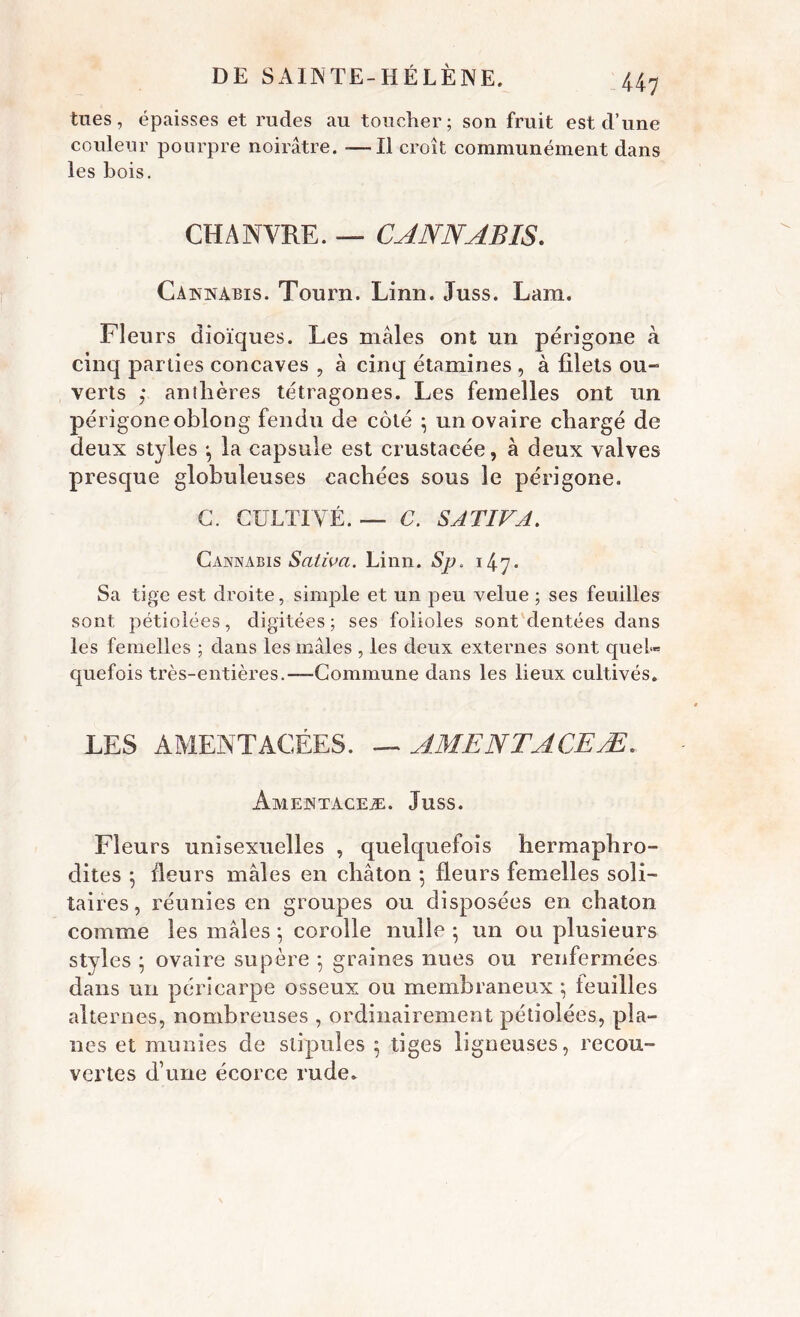 tnes, épaisses et rudes au toucher; son fruit est d’une couleur pourpre noirâtre. — Il croît communément dans les bois. CHANVRE. — CANNABIS. Cannabis. Tourn. Linn. Juss. Lara. Fleurs dioïques. Les mâles ont un périgone à cinq parties concaves , à cinq étamines , à filets ou- verts ; anthères tétragones. Les femelles ont un périgoneoblong fendu de côté ; un ovaire chargé de deux styles *, la capsule est crustacée, à deux valves presque globuleuses cachées sous le périgone. G. CULTIVÉ. — C. SATIVA. Cannabis Sativa. Linn. Sp. 147- Sa tige est droite, simple et un peu velue ; ses feuilles sont pétiolées, digitées; ses folioles sont dentées dans les femelles ; dans les mâles , les deux externes sont quel- quefois très-entières.—-Commune dans les lieux cultivés. LES AMENTACÉES. — AME N T ACE Æ. Amentaceæ. Juss. Fleurs unisexuelles , quelquefois hermaphro- dites 5 fleurs mâles en châton ; fleurs femelles soli- taires, réunies en groupes ou disposées en chaton comme les mâles ; corolle nulle • un ou plusieurs styles ; ovaire su père -, graines nues ou renfermées dans un péricarpe osseux ou membraneux ; feuilles alternes, nombreuses , ordinairement pétiolées, pla- nes et munies de stipules 5 tiges ligneuses, recou- vertes d’une écorce rude.