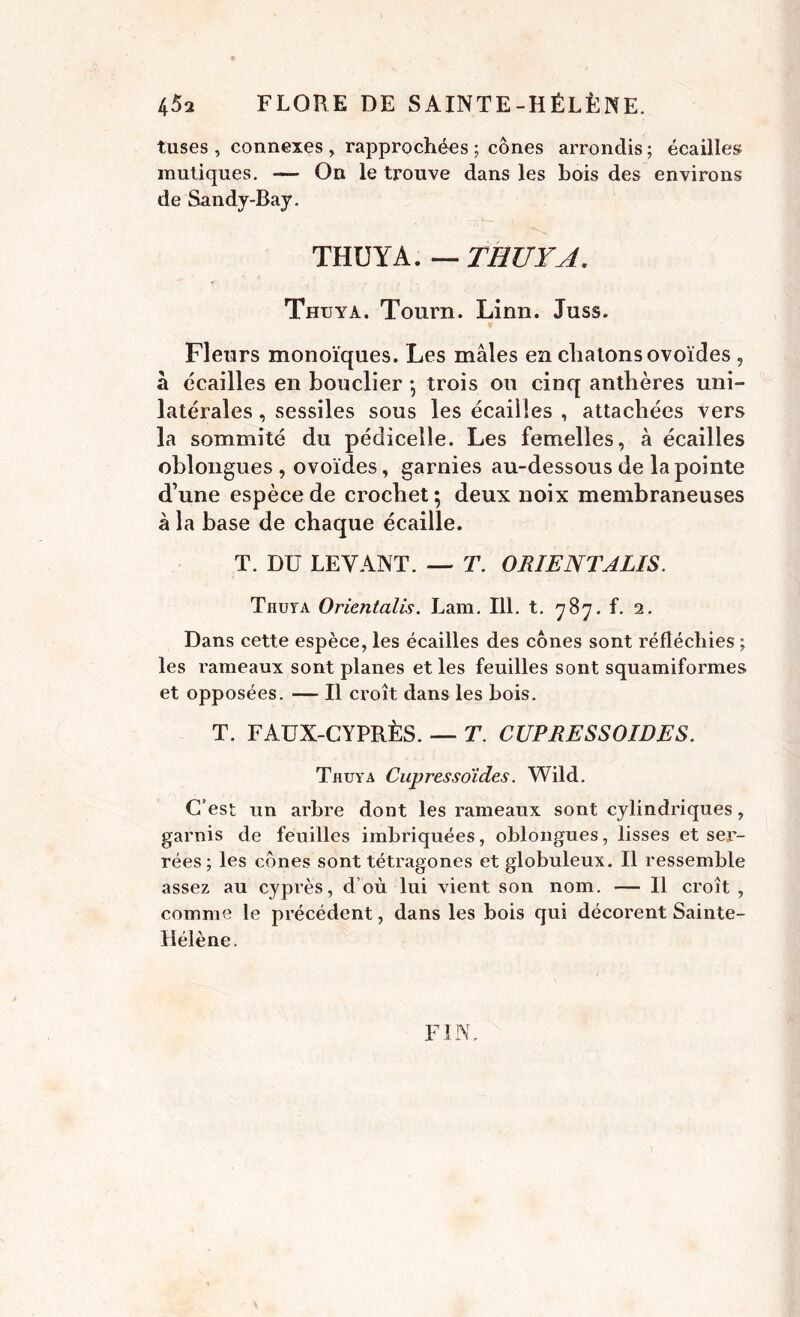 tuses , connexes, rapprochées; cônes arrondis; écailles nautiques. — On le trouve dans les bois des environs de Sandy-Bay. THUYA. — THUYA. f 7 i ' •_ ' •. Thuya. Tourn. Linn. Juss. * Fleurs monoïques. Les mâles en chatons ovoïdes , â écailles en bouclier -, trois ou cinq anthères uni- latérales , sessiles sous les écailles , attachées vers la sommité du pédicelle. Les femelles, à écailles oblongues , ovoïdes, garnies au-dessous de la pointe d’une espèce de crochet ; deux noix membraneuses à la base de chaque écaille. T. DU LEVANT. — T. ORIENTALIS. Thuya Orientalis. Lam. 111. t. 787. f. 2. Dans cette espèce, les écailles des cônes sont réfléchies ; les rameaux sont planes et les feuilles sont squamiformes et opposées. — Il croît dans les bois. T. FAUX-CYPRÈS. — T. CUPRESSOIDES. Thuya Cupres soldes. Wild. C’est un arbre dont les rameaux sont cylindriques, garnis de feuilles imbriquées, oblongues, lisses et ser- rées ; les cônes sont tétragones et globuleux. Il ressemble assez au cyprès, d’où lui vient son nom. — Il croît, comme le précédent, dans les bois qui décorent Sainte- Hélène. FIN.