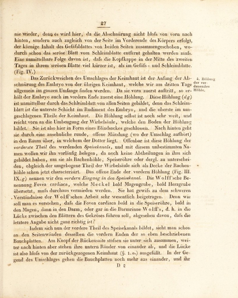 k. Bildung le< nie wieder, denj> es wird hier, da die Abschnürung nicht blofs von vorn nach hinten, sondern auch zugleich von der Seite im Vorderende des Körpers erfolgt, der körnige Inhalt des Gefäfsblattes von beiden Seiten zusammengeschoben, wo- durch schon das seröse Blatt vom Schleimblatte entfernt gehalten werden mufs. Eine unmittelbare Folge davon ist, dafs die Kopfkappe in der Mitte des zweiten Tages in ihrem serösen Blatte viel kürzer ist, als im Gefäfs- und Schleimblatte. (Fig. IV.) Das Zurückweichen des Umschlages der Keimhaut ist der Anfang der Ab- schnürung des Embryo von der übrigen Keimhaut, welche wir am dritten Tage bauend » allgemein im ganzen Umfange linden werden. Da sie vorn zuerst auftritt, so er- halt der Embryo auch im vordem Ende zuerst eine Höhlung. Diese Höhlung (dg) ist unmittelbar durch das Schleimblatt von allen Seiten gebildet, denn das Schleim- blatt ist die unterste Schicht im Piudiment des Embryo, und die oberste im um- geschlagenen Theile der Keimhaut. Die Höhlung selbst ist noch sehr weit, und reicht vorn an die Umbeugung der Wirbelsäule, welche den Boden der Höhlung bildet. Sie ist also hier in Form eines Blindsackes geschlossen. Nach hinten geht sie durch eine ansehnliche runde, offene Mündung (wo der Umschlag aufhört) in den Raum über, in welchem der Dotter liegt. Offenbar ist diese Höhlung der vorderste Theil des werdenden Speisekanals, und mit diesem unbestimmten Na- men wollen wir ihn vorläufig belegen, da noch keine Abtheilungen in ihm sich gebildet haben, um sie als Rachenhöhle, Speiseröhre oder dergl. zu unterschei- den, obgleich der umgebogene Theil der Wirbelsäule sich als Decke der Rachen- höhle schon jetzt characterisirt. Das offene Ende der vordem Höhlung (Fig. III. IX.g) nennen wir den vordem Eingang in den Speisekanal. Die Wolff’sche Be- nennung Fovea cardiaca, welche Meckel bald Magengrube, bald Herzgrube übersetzt, mufs durchaus vermieden werden. 1 Sie hat gewifs zu dem schweren Verständnisse der Wo HP'sehen Arbeit sehr wesentlich beigetragen. Denn wie soll man es verstehen, dafs die Fovea cardiaca bald in die Speiseröhre, bald in den Magen, dann in den Darm, oder gar in die Darmrinne Wolff's, d. h. in die Lücke zwischen den Blättern des Gekröses führen soll, abgesehen davon, dafs die letztere Angabe nicht ganz richtig Ist? Indem sich nun der vordere Theil des Speisekanals bildet, sieht man schon an den Seitenwänden desselben die vordem Enden der so eben beschriebenen Bauchplatten. Am Knopf der Rückensaite stofsen sie unter sich zusammen, wei- ter nach hinten aber stehen ihre untern Ränder von einander ab, und die Lücke ist also blofs von der zurückgezogenen Keimhaut (§. l.o.) ausgefüllt. In der Ge- gend des Umschlages gehen die Bauchplatten noch mehr aus einander, und ihr D 2