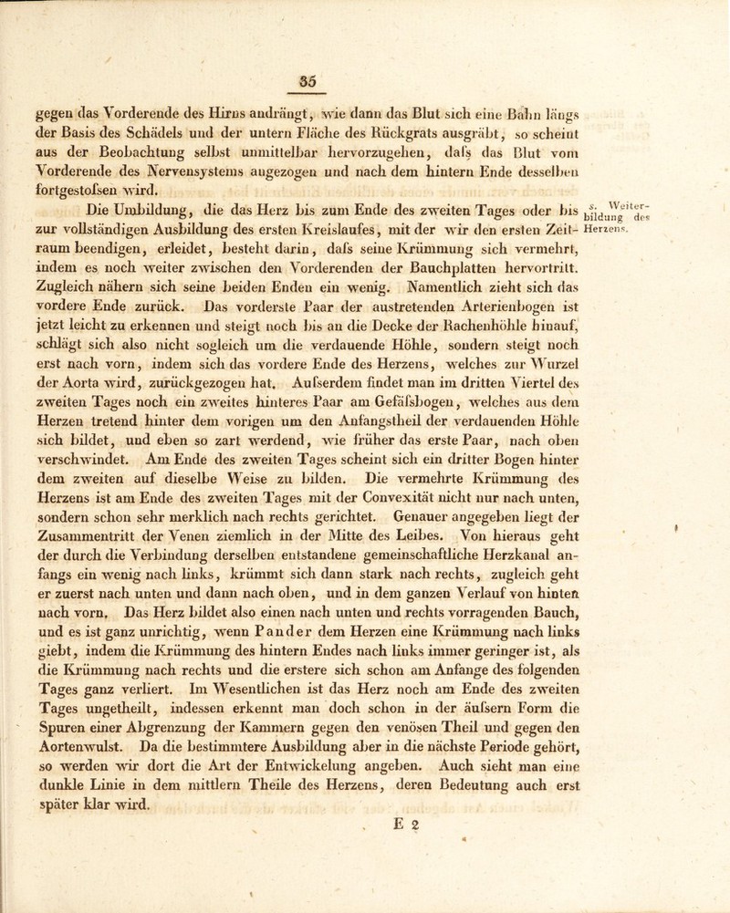 gegen das Vorderende des Hirns andrängt, wie dann das Blut sich eine Bahn längs der Basis des Schädels und der untern Fläche des Rückgrats ausgräbt, so scheint aus der Beobachtung selbst unmittelbar hervorzugehen, dals das Blut vom Vorderende des Nervensystems angezogen und nach dem hintern Ende desselben fortgestofsen wird. Die Umbildung, die das Herz bis zum Ende des zweiten Tages oder bis zur vollständigen Ausbildung des ersten Kreislaufes, mit der wir den ersten Zeit- raum beendigen, erleidet, besteht darin, dafs seine Krümmung sich vermehrt, indem es noch weiter zwischen den Vorderenden der Bauchplatten hervortritt. Zugleich nähern sich seine beiden Enden ein wenig. Namentlich zieht sich das vordere Ende zurück. Das vorderste Paar der austretenden Arterienbogen ist jetzt leicht zu erkennen und steigt noch bis an die Decke der Rachenhöhle hinauf, schlägt sich also nicht sogleich um die verdauende Höhle, sondern steigt noch erst nach vorn, indem sich das vordere Ende des Herzens, welches zur Wurzel der Aorta wird, zurückgezogen hat. Aufserdem findet man im dritten Viertel des zweiten Tages noch ein zweites hinteres Paar am Gefäfsbogen, welches aus dem Herzen tretend hinter dem vorigen um den Anfangstheil der verdauenden Hohle sich bildet, und eben so zart werdend, wie früher das erste Paar, nach oben verschwindet. Am Ende des zweiten Tages scheint sich ein dritter Bogen hinter dem zweiten auf dieselbe Weise zu bilden. Die vermehrte Krümmung des Herzens ist am Ende des zweiten Tages mit der Convexität nicht nur nach unten, sondern schon sehr merklich nach rechts gerichtet. Genauer angegeben liegt der Zusammentritt der Venen ziemlich in der Mitte des Leibes. Von hieraus geht der durch die Verbindung derselben entstandene gemeinschaftliche Herzkanal an- fangs ein wenig nach links, krümmt sich dann stark nach rechts, zugleich geht er zuerst nach unten und dann nach oben, und in dem ganzen Verlauf von hinten nach vorn. Das Herz bildet also einen nach unten und rechts vorragenden Bauch, und es ist ganz unrichtig, wenn Pander dem Herzen eine Krümmung nach links giebt, indem die Krümmung des hintern Endes nach links immer geringer ist, als die Krümmung nach rechts und die erstere sich schon am Anfänge des folgenden Tages ganz verliert. Im Wesentlichen ist das Herz noch am Ende des zweiten Tages ungetheilt, indessen erkennt man doch schon in der äulsern Form die Spuren einer Abgrenzung der Kammern gegen den venösen Theil und gegen den Aortenwulst. Da die bestimmtere Ausbildung aber in die nächste Periode gehört, so werden wir dort die Art der Entwickelung angeben. Auch sieht man eine dunkle Linie in dem mittlern Theile des Herzens, deren Bedeutung auch erst später klar wird. E 2 s. Weiter- bildung des Herzens.