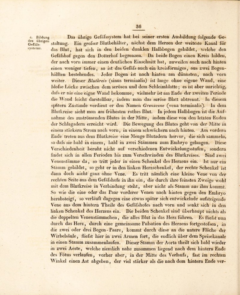 Bildung Das übrige Gefäfssystem hat bei seiner ersten Ausbildung folgende Ge- Gefärs-ri8en staltung. Ein grofser Blutbehälter, nächst dem Herzen der weiteste Kanal für systems. (]as Blut, hat sich in den beiden dunklen Halbbogen gebildet, welche den Gefafshof gegen den Dotterhof begrenzen. Da beide Bogen einen Kreis bilden, der nach vorn immer einen deutlichen Einschnitt hat, zuweilen auch nach hinten einen weniger tiefen, so ist das Gefafs auch ein kreisförmiges, aus zwei Bogen- hälften bestehendes. Jeder Bogen ist nach hinten am dünnsten, nach vorn weiter. Dieser Blutkreis (sinus terminalis) ist lange ohne eigene Wand, eine blofse Lücke zwischen dem serösen und dem Schleimblatte; es ist aber unrichtig, dafs er nie eine eigne Wand bekomme, vielmehr ist am Ende der zweiten Periode die Wand leicht darstellbar, indem man das seröse Blatt abtrennt. In diesem spätern Zustande verdient er den Namen Grenzvene (Vena terminalis). In dem Blutkreise sieht man am frühesten rothes Blut. In jedem Halbbogen ist die Auf- nahme des zuströmenden Blutes in der Mitte, indem diese von den letzten Enden der Schlagadern erreicht wird. Die Bewegung des Blutes geht von der Mitte in einem stärkern Strom nach vorn, in einem schwachem nach hinten. Am vordem Ende treten aus dem Blutkreise eine Menge Blutadern hervor, die sich sammeln, so dafs sie bald in einem, bald in zwei Stämmen zum Embryo gelangen. Diese Verschiedenheit beruht nicht auf verschiedenen Entwickelungsstufen, sondern findet sich in allen Perioden bis zum Verschwinden des Blutkreises. Sind zwei Venenstämme da, so tritt jeder in einen Schenkel des Herzens ein. Ist nur ein Stamm gebildet, so geht er in den linken Herzschenkel, der rechte Schenkel ist dann doch nicht ganz ohne Vene. Es tritt nämlich eine kleine Vene von der rechten Seite aus dem Gefäfshofe in ihn ein, die durch ihre feinsten Zweige wohl mit dem Blutkreise in Verbindung steht, aber nicht als Stamm aus ihm kommt. So wie die eine oder das Paar vorderer Venen nach hinten gegen den Embryo herabsteigt, so verläuft dagegen eine etwas später sich entwickelnde aufsteigende Vene aus dem hintern Theile des Gefafshof es nach vorn und senkt sich in den linken Schenkel des Herzens ein. Die beiden Schenkel sind überhaupt nichts als die doppelten Venenstämmchen, die alles Blut in das Herz führen. Es Üiefst nun durch das Herz, durch eine gemeinsame Pulsation des Herzens fortgestofsen, in die zwei oder drei Bogen - Paare, kommt durch diese an die untere Fläche der Wirbelsäule, fliefst hier in zwei Armen fort, die endlich über dem Speisekanale in einen Stamm zusammenlaufen. Dieser Stamm der Aorta theilt sich bald wieder in zwei Aeste, welche ziemlich nahe zusammen liegend nach dem hintern Ende des Fötus verlaufen, vorher aber, in der Mitte des Verlaufs, fast im rechten Winkel einen Ast abgeben, der viel stärker als die nach dem hintern Ende ver-
