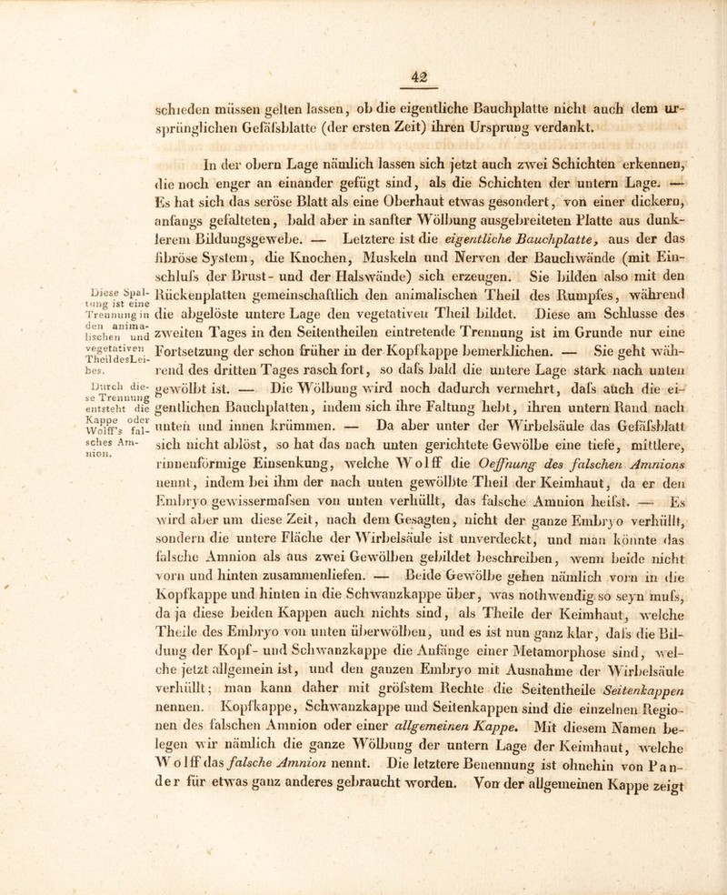 d iese Spal- tung ist eine Trennung in den anima- lischen und vegetativen Theil desLei- .bes. Durch die- se Trennung entsteht die Kappe oder Wolff’s fal- sches Am- nion. schieden müssen gellen lassen, ob die eigentliche Bauchplatte nicht auch dem ur- sprünglichen Gefafsblatte (der ersten Zeit) ihren Ursprung verdankt. In der obern Lage nämlich lassen sich jetzt auch zwei Schichten erkennen, die noch enger an einander gefügt sind, als die Schichten der untern Lage. — Es hat sich das seröse Blatt als eine Oberhaut etwas gesondert, von einer dickem, anfangs gefalteten, bald aber in sanfter Wölbung ausgebreiteten Platte aus dunk- lerem Bilduugsgewebe. — Letztere ist die eigentliche Bauchplatte, aus der das fibröse System-, die Knochen, Muskeln und Nerven der Bauch wände (mit Ein- schlufs der Brust- und der Hals wände) sich erzeugen. Sie bilden also mit den Rückenplatten gemeinschaftlich den animalischen Theil des Rumpfes, während die abgelöste untere Lage den vegetativen Theil bildet. Diese am Schlüsse des zweiten Tages in den Seitentheilen eintretende Trennung ist im Grunde nur eine Fortsetzung der schon früher in der Kopfkappe bemerldichen. — Sie geht wäh- rend des dritten Tages rasch fort, so dafs bald die untere Lage stark nach unten gewölbt ist. — Die Wölbung wird noch dadurch vermehrt, dafs auch die ei- gentlichen Bauchplatten, indem sich ihre Faltung hebt, ihren untern Rand nach unten und innen krümmen. — Da aber unter der Wirbelsäule das Gefafsblatt sich nicht ablöst, so hat das nach unten gerichtete Gewölbe eine tiefe, mittlere, rinnenförmige Einsenkung, welche Wollf die Oeffnung des falschen Amnions nennt, indem bei ihm der nach unten gewölbte Theil der Keimhaut, da er den Embryo gewissermafsen von unten verhüllt, das falsche Amnion heilst. — Es wird aber um diese Zeit, nach dem Gesagten, nicht der ganze Embryo verhüllt, sondern die untere Fläche der Wirbelsäule ist unverdeckt, und man könnte das falsche Amnion als aus zwei Gewölben gebildet beschreiben, wenn beide nicht vorn und hinten zusammenliefen. — Beide Gewölbe gehen nämlich vorn in die Kopfkappe und hinten in die Schwanzkappe über, was nothwendig so seyn inufs, da ja diese beiden Kappen auch nichts sind, als Theile der Keimhaut, welche TheiJe des Embryo von unten überwölben, und es ist nun ganz klar, dafs die Bil- dung der Kopf-und Schwanzkappe die Anfänge einer Metamorphose sind, wel- che jetzt allgemein ist, und den ganzen Embryo mit Ausnahme der Wirbelsäule verhüllt; man kann daher mit gröfstem Rechte die Seitentheile Seitenkappen nennen. Kopfkappe, Schwanzkappe und Seitenkappen sind die einzelnen Regio- nen des falschen Amnion oder einer allgemeinen Kappe. Mit diesem Namen be- legen wir nämlich die ganze Wölbung der untern Lage der Keimhaut, welche Wo HF das falsche Amnion nennt. Die letztere Benennung ist ohnehin von Lan- der für etwas ganz anderes gebraucht worden. Von der allgemeinen Kappe zeigt