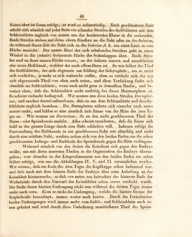 Kaum aber ist dieses erfolgt, so wird es selbstständig. Nach geschlossener Naht erhebt sich nämlich auf jeder Seite ein schmaler Streifen des Gefafsblattes mit dem Schleimblatte zugleich von neuem aus der horizontalen Ebene in die senkrechte. Beide Streifen stofsen mit ihren obern Rändern an die Naht oder an das Gekröse, Fläche auszieht. Der untere Rand des sich erhebenden Streifens geht in einen Winkel in die (relativ) horizontale Fläche der Seitenkappen über. Beide Strei- fen sind an ihrer innern Fläche concav, an der äufsern convex und umsehliefsen also einen Halbkanal, welcher der noch offene Darm ist. So wie früher der Theil des Gefafsblattes, der sich abgrenzte zur Bildung der Gekrösplatte, um so mehr sich verdickte, je mehr er sich senkrecht stellte, eben so verdickt sich der neu sich abgrenzende Theil von oben nach unten, und diese Verdickung findet sich ebenfalls im Schleimblatte, wenn auch nicht ganz in demselben Maafse, und be- weiset eben, dafs das Schleimblatt nicht unthätig bei dieser Metamorphose ist. Es scheint vielmehr bedingend. Wir nennen nun diese beiden Streifen Darmplat- ten , und machen darauf aufmerksam, dafs sie aus dem Schleimblatte und dem Ge- fäfsblatte zugleich bestehen. Die Darmplatten nähern sich einander nach unten immer mehr, und bilden so eine ziemlich tiefe Rinne von der Mitte des 3ten Ta- ges an. Wir nennen sie Darmrinne, da sie den nicht geschlossenen Theil des Darm - oder Speisekanals umfafst. Alles scheint anzudeuten, dafs die Rinne sich bald in der ganzen Länge durch eine Naht schliefsen will. Indessen erfolgt die Umwandlung des Halbkanals in ein geschlossenes Rohr nur allmählig und nicht durch eine mittlere Naht, sondern indem sich von den beiden Enden aus die schon geschlossenen Anfangs- und Endtheile des Speisekanals gegen die Mitte verlängern. Während nämlich von den Seiten die Keimhaut sich gegen den Embryo wölbt, um mit ihren innersten Theilen in die Organisation des Embryo überzu- gehen, war dasselbe in der Längendimension von den beiden Enden aus schon früher erfolgt, wie uns die Abbildungen IV. V. und VL versinnlichen werden. Wir wissen, dafs am Ende des 2ten Tages die Kopfkappe schon bedeutend war, und dafs auch mit dem hintern Ende der Embryo über seine Anheftung an das Keimblatt hinauswuchs, so dafs von unten aus betrachtet das hinterste Ende der Wirbelsäule durch den Umwurf der Keimblätter schon etwas verdeckt wurde. Die Stelle dieser hintern Umbeugung rückt nun während des dritten Tages immer mehr nach vorn. Eben so rückt die Umbeugung, welche die hintere Grenze der Kopfscheide bezeichnet, immer weiter nach hinten. Durch das Fortschreiten beider Umbeugungen wird immer mehr vom Gefäfs- und Schleimblatte nach in- nen gekehrt und wird durch diese Umkehrung unmittelbarer Theil des Speise-