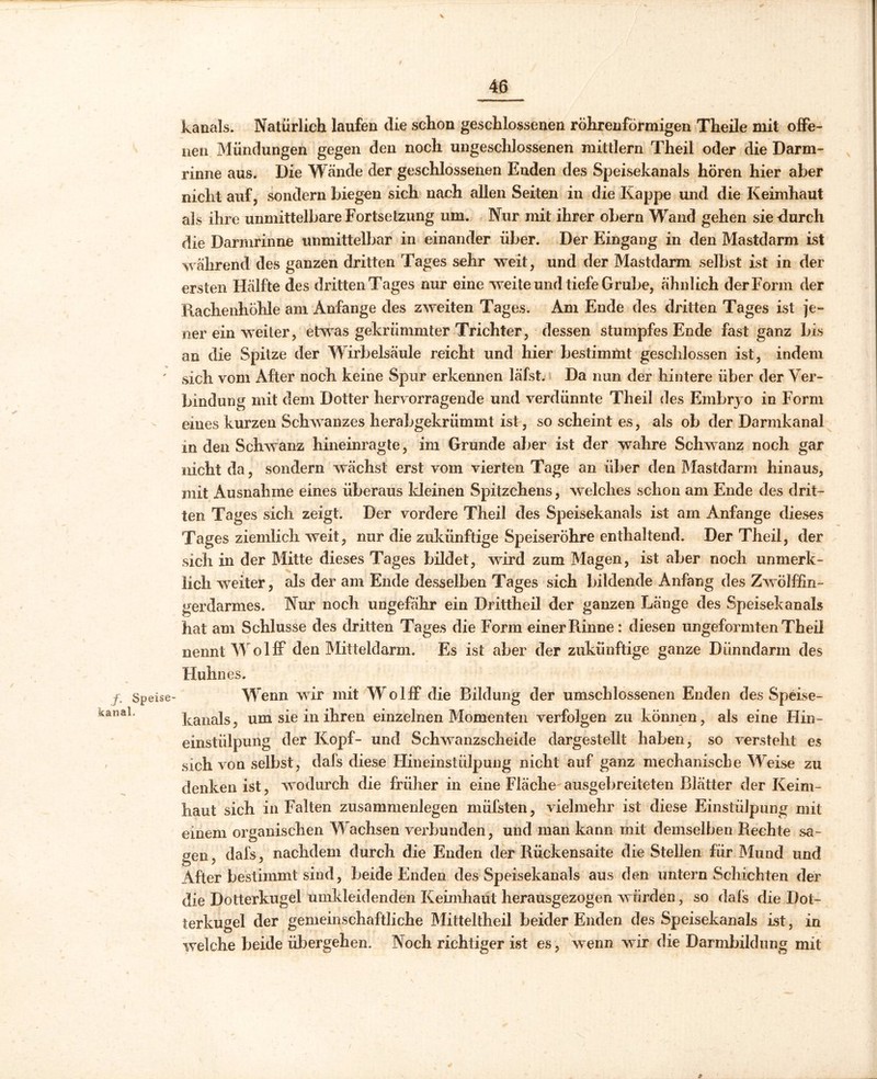✓ /• Spei kanal, t \ kanals. Natürlich laufen die schon geschlossenen röhrenförmigen Theile mit offe- nen Mündungen gegen den noch ungeschlossenen mittlern Theii oder die Darm- rinne aus. Die Wände der geschlossenen Enden des Speisekanals hören hier aber nicht auf, sondern biegen sich nach allen Seilen in die Kappe und die Keimhaut als ihre unmittelbare Fortsetzung um. Nur mit ihrer obern Wand gehen sie durch die Darmrinne unmittelbar in einander über. Der Eingang in den Mastdarm ist während des ganzen dritten Tages sehr weit, und der Mastdarm selbst ist in der ersten Hälfte des dritten Tages nur eine weite und tiefe Grube, ähnlich der Form der Rachenhöhle am Anfänge des zweiten Tages. Am Ende des dritten Tages ist je- ner ein weiter, etwas gekrümmter Trichter, dessen stumpfes Ende fast ganz bis an die Spitze der Wirbelsäule reicht und hier bestimmt geschlossen ist, indem ' sich vom After noch keine Spur erkennen läfst. Da nun der hintere über der Ver- bindung mit dem Dotter hervorragende und verdünnte Theii des Embrj o in Form eines kurzen Schwanzes herabgekriimmt ist, so scheint es, als ob der Darmkanal in den Schwanz hineinragte, im Grunde aber ist der wahre Schwanz noch gar nicht da, sondern wächst erst vom vierten Tage an über den Mastdarm hinaus, mit Ausnahme eines überaus Meinen Spitzchens, welches schon am Ende des drit- ten Tages sich zeigt. Der vordere Theii des Speisekanals ist am Anfänge dieses Tages ziemlich weit, nur die zukünftige Speiseröhre enthaltend. Der Theii, der sich in der Mitte dieses Tages bildet, wird zum Magen, ist aber noch unmerk- lich weiter, als der am Ende desselben Tages sich bildende Anfang des Zwölffin- gerdarmes. Nur noch ungefähr ein Drittheil der ganzen Länge des Speisekanals hat am Schlüsse des dritten Tages die Form einer Rinne: diesen ungeformten Theii nennt Wolff den Mitteldarm. Es ist aber der zukünftige ganze Dünndarm des Huhnes. ;e- Wenn wir mit Wo lff die Bildung der umschlossenen Enden des Speise- kanals , um sie in ihren einzelnen Momenten verfolgen zu können, als eine Hin- einstiilpung der Kopf- und Schwanzscheide dargestellt haben, so versteht es sich von selbst, dafs diese Hineinstülpung nicht auf ganz mechanische Weise zu denken ist, wodurch die früher in eine Fläche ausgebreiteten Blätter der Keim- haut sich in Falten Zusammenlegen müfsten, vielmehr ist diese Einstülpung mit einem organischen Wachsen verbunden, und man kann mit demselben Rechte sa- gen, dafs, nachdem durch die Enden der Rückensaite die Stellen für Mund und After bestimmt sind, beide Enden des Speisekanals aus den untern Schichten der die Dotterkugel umkleidenden Keimhaut herausgezogen würden, so dafs die Dot- terkugel der gemeinschaftliche Mitteltheil beider Enden des Speisekanals ist, in welche beide übergehen. Noch richtiger ist es, wenn wir die Darmbildung mit