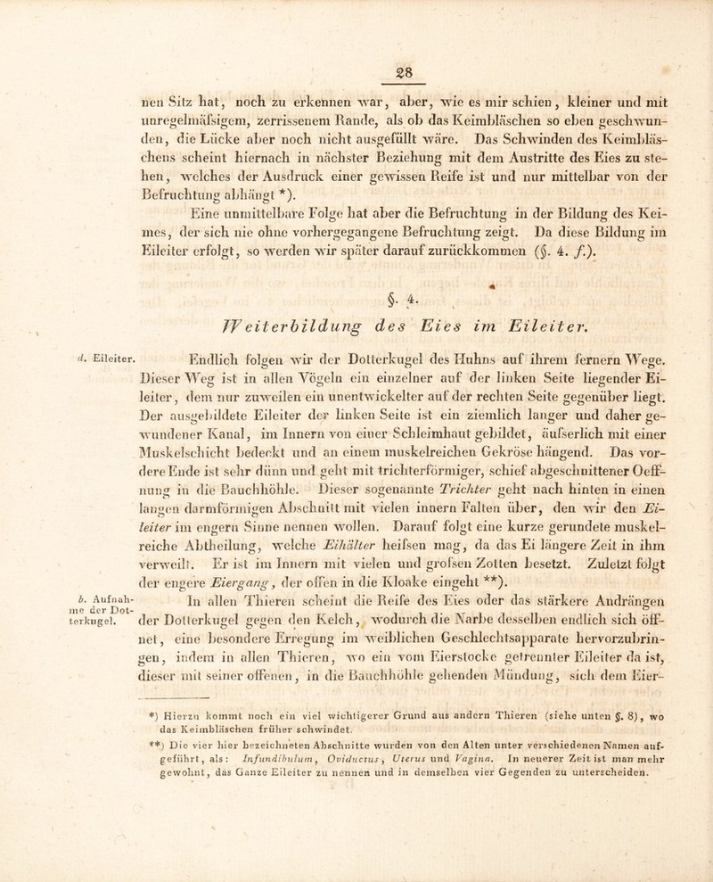 d. Eileiter. b. Aufnah- me der Dot- terjaigel. neu Sitz Kat, noch zu erkennen war, aber, wie es mir schien, kleiner und mit unregelmäfsigem, zerrissenem Rande, als ob das Keimbläschen so eben geschwun- den, die Lücke aber noch nicht ausgefüllt wäre. Das Schwinden des Keimbläs- chens scheint hiernach in nächster Beziehung mit dem Austritte des Eies zu ste- hen, welches der Ausdruck einer gewissen Reife ist und nur mittelbar von der Befruchtung abhängt * **)). Eine unmittelbare Folge hat aber die Befruchtung in der Bildung des Kei- mes, der sich nie ohne vorhergegangene Befruchtung zeigt. Da diese Bildung im Eileiter erfolgt, so werden wir spater darauf zurückkommen (($. 4. /.). Weiterbildung des Eies im Eileiter. Endlich folgen wir der Dotterkugel des Huhns auf ihrem fernem Wege. Dieser Weg ist in allen Vögeln ein einzelner auf der linken Seite liegender Ei- leiter, dem nur zuweilen ein unentwickelter auf der rechten Seite ge genüber liegt. Der ausgebildete Eileiter der linken Seite ist ein ziemlich langer und daher ge- wundener Kanal, im Innern von einer Schleimhaut gebildet, äufserlich mit einer Muskelschicht bedeckt und an einem muskelreichen Gekröse hängend. Das vor- dere Ende ist sehr dünn und geht mit trichterförmiger, schief abgeschnittener Oeff- nung in die Bauchhöhle. Dieser sogenannte Trichter geht nach hinten in einen lausen darmförinmen Abschnitt mit vielen innern Falten über, den wir den Ei- leiter im engern Sinne nennen wollen. Darauf folgt eine kurze gerundete muskel- reiche Abtheilung, welche Eihiilter heifsen mag, da das Ei längere Zeit in ihm verweilt. Er ist im Innern mit vielen und groisen Zotten besetzt. Zuletzt folgt der engere Eier gang, der offen in die Kloake eingeht x*). In allen Thieren scheint die Reife des Eies oder das stärkere Andrängen der Doüerkugel gegen den Kelch, wodurch die Narbe desselben endlich sich öff- net, eine besondere Erregung im weiblichen Geschlechtsapparate hervorzubrin- gen, indem in allen Thieren, wo ein vom Eierstocke getrennter Eileiter da ist, dieser mit seiner offenen, in die Bauchhöhle gehenden Mündung, sich dem Eier- \ *) Hierzu kommt noch ein viel wichtigerer Grund aus andern Thieren (siehe unten §. 8), wo das Keimbläschen früher schwindet. **) Die vier hier bezeichneten Abschnitte wurden von den Alten unter verschiedenen Namen auf- geführt, als: Infundibulutn , Oviductus , Uterus und Vagina. In neuerer Zeit ist man mehr gewohnt, das Ganze Eileiter zu nennen und in demselben vier Gegenden zu unterscheiden.