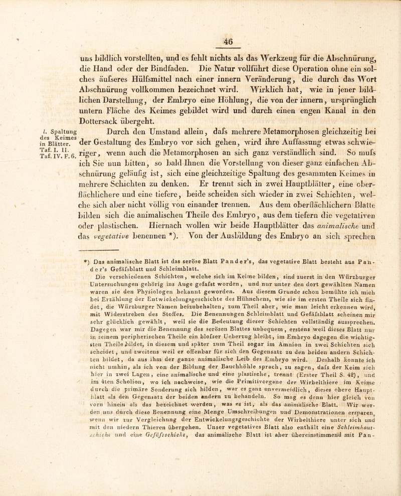 uns bildlich vorstellten, und es fehlt nichts als das Werkzeug für die Abschnürung, die Hand oder der Bindfaden. Die Natur vollführt diese Operation ohne ein sol- ches äufseres Hülfsmittel nach einer innern Veränderung, die durch das Wort Abschnürung vollkommen bezeichnet wird. Wirklich hat, wie in jener bild- lichen Darstellung, der Embryo eine Höhlung, die von der innern, ursprünglich untern Fläche des Keimes gebildet wird und durch einen engen Kanal in den Dottersack übergeht. i. Spaltung Durch den Umstand allein, dafs mehrere Metamorphosen gleichzeitig bei in Blätter, der Gestaltung des Embryo vor sich gehen, wird ihre Auffassung etwas schwie- ^y lp g riger, wenn auch die Metamorphosen an sich ganz verständlich sind. So mufs ich Sie nun bitten, so bald Ihnen die Vorstellung von dieser ganz einfachen Ab- schnürung geläufig ist, sich eine gleichzeitige Spaltung des gesammten Keimes in mehrere Schichten zu denken. Er trennt sich in zwei Hauptblätter, eine ober- flächlichere und eine tiefere, beide scheiden sich wieder in zwei Schichten, wel- che sich aber nicht völlig von einander trennen. Aus dem oberflächlichem Blatte bilden sich die animalischen Theile des Embryo, aus dem tiefem die vegetativen oder plastischen. Hiernach wollen wir beide Hauptblätter das animalische und das vegetative benennen *). Von der Ausbildung des Embryo an sich sprechen *) Das animalische Blatt ist das seröse Blatt Pander’s, das vegetative Blatt besteht aus Pan- d c r’s Gefäfsblatt und Schleimblatt. Die verschiedenen Schichten, welche sich irn Keime bilden, sind zuerst in den Würzburger Untersuchungen gehörig ins Auge gefafst worden, und nur unter den dort gewählten Namen waren sie den Physiologen bekannt geworden. Aus diesem Grunde schon bemühte ich mich bei Erzählung der Entwickelungsgeschichte des Hühnchens, wie sie im ersten Theile sich fin- det, die Würzburger Namen beizubehalten, zum Theil aber, wie man leichterkennen wird, mit Widerstreben des Stoffes. Die Benennungen Schleimblatt und Gefäfsblatt scheinen mir sehr glücklich gewählt , weil sie die Bedeutung dieser Schichten vollständig aussprechen. Dagegen war mir die Benennung des serösen Blattes unbequem , erstens weil dieses Blatt nur in seinem peripherischen Theile ein blofser Ueberzug bleibt, im Embryo dagegen die wichtig- sten Theile bildet, in diesem und spater zum Theil sogar im Amnion in zwei Schichten sich scheidet , und zweitens weil er offenbar für sich den Gegensatz zu den beiden andern Schich- ten bildet, da aus ihm der ganze animalische Leib des Embryo wird. Deshalb konnte ich nicht umhin, als ich von der Bildung der Bauchhöhle sprach, zu sagen, dafs der Keim sich hier in zwei Lagen, eine animalische und eine plastische, trennt (Erster Theil S. 42), und im 4ten Scholion, wo ich nachweise, wie die Primitivorgane der Wirbelthiere im Keime durch die primäre Sonderung sich bilden, war es ganz unvermeidlich, dieses obere Haupt- hlatt als den Gegensatz der beiden andern zu behandeln. So mag es denn hier gleich von vorn hinein als das bezeichnet werden, was es ist, als das animalische Blatt. Wir wer- den uns durch diese Benennung eine Menge Umschreibungen und Demonstrationen ersparen, wenn wir zur Vergleichung der Entwickelungsgeschichte der Wirbelthiere unter sich und mit den niedern Thieren übergehen. Unser vegetatives Blatt also enthalt eine Schleimhaut- schickt und eine Gefäfsschickt, das animalische Blatt ist aber übereinstimmend mit Pan-