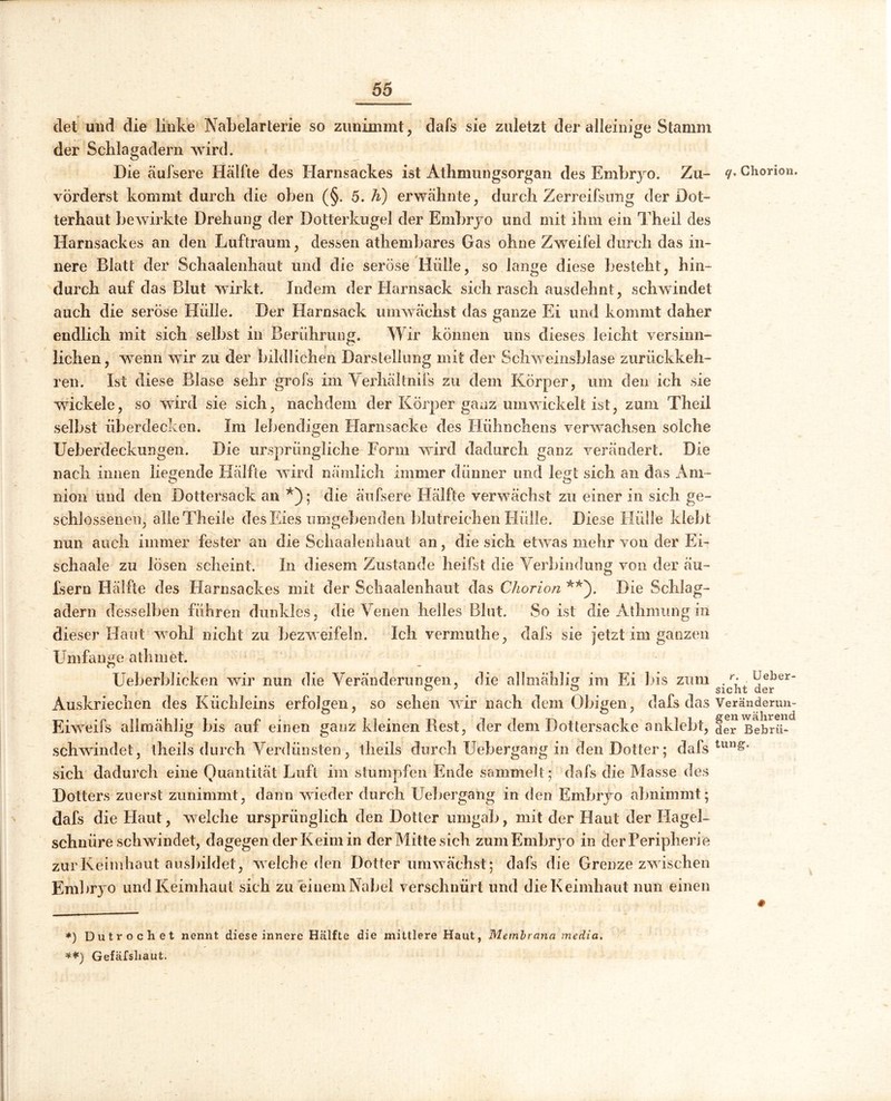 clet und die linke Nabelarterie so zunimmt, dafs sie zuletzt der alleinige Stamm der Schlagadern wird. Die äufsere Hälfte des Harnsackes ist Athmungsorgan des Embryo. Zu- vörderst kommt durch die oben (§. 5. ti) erwähnte, durch Zerreifsung der Dot- terhaut bewirkte Drehung der Dotterkugel der Embryo und mit ihm ein Theil des Harnsackes an den Luftraum, dessen athembares Gas ohne Zweifel durch das in- nere Blatt der Schaalenhaut und die seröse Hülle, so.lange diese besteht, hin- durch auf das Blut wirkt. Indem der Harnsack sich rasch ausdehnt, schwindet auch die seröse Hülle. Der Harnsack umwächst das ganze Ei und kommt daher endlich mit sich selbst in Berührung. Wir können uns dieses leicht versinn- liehen, wenn wir zu der bildlichen Darstellung mit der Schweinsblase zurückkeh- ren. Ist diese Blase sehr grofs im Verhältnifs zu dem Körper, um den ich sie wückele, so wird sie sich, nachdem der Körper ganz umwickelt ist, zum Theil selbst überdecken. Im lebendigen Harnsacke des Hühnchens verwachsen solche Ueberdeckungen. Die ursprüngliche Form wird dadurch ganz verändert. Die nach innen liegende Hälfte wird nämlich immer dünner und legt sich an das Am- nion und den Dottersack an *); die äufsere Hälfte verwächst zu einer in sich ge- schlossenen, alleTheile des Eies umgebenden blutreichen Hülle. Diese Hülle klebt nun auch immer fester an die Schaalenhaut an, die sich etwas mehr von der Ei- schaale zu lösen scheint. In diesem Zustande heilst die Verbindung von der äu- fsern Hälfte des Harnsackes mit der Schaalenhaut das Chorion **). Die Schlag- adern desselben führen dunkles, die Venen heiles Blut. So ist die Athmung in dieser Haut wohl nicht zu bezweifeln. Ich vermuthe, dafs sie jetzt im ganzen Umfange athinet. Ueberblicken wir nun die Veränderungen, die allmählig im Ei bis zum Auskriechen des Küchleins erfolgen, so sehen wir nach dem Obigen, dafs das Eiweifs allmählig bis auf einen ganz kleinen Rest, der dem Dottersacke anklebt, schwindet, theils durch Verdünsten, theils durch Uebergang in den Dotter; dafs sich dadurch eine Quantität Luft im stumpfen Ende sammelt; dafs die Masse des Dotters zuerst zunimmt, dann wieder durch Uebergang in den Embryo abnimmt; dafs die Haut, welche ursprünglich den Dotter umgab, mit der Haut der Hagel- schnüre schwändet, dagegen der Keim in der Mitte sich zum Embryo in der Peripherie zur Keimhaut ausbildet, welche den Dotter umwächst; dafs die Grenze zwischen Embryo und Keimhaut sich zu einem Nabel verschnürt und die Keimhaut nun einen i/. Chorion. r. Ueber- sicht der Veränderun- gen während der Bebrii- tung. # *) Dutrochet nennt diese innere Hälfte die mittlere Haut, Membrana media. Gefäfsliaut.