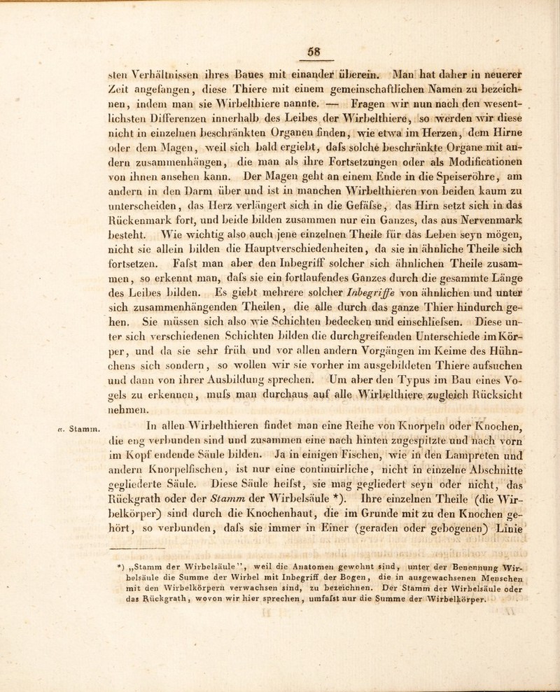 «. Stamm. sten Verhältnissen ihres Baues mit einander überein. Man hat daher in neuerer Zeit angefangen, diese Thiere mit einem gemeinschaftlichen Namen zu bezeich- nen , indem man sie Wirbelthiere nannte. — Fragen wir nun nach den wesent- lichsten Differenzen innerhalb des Leibes der Wirbelthiere, so werden wir diese nicht in einzelnen beschränkten Organen finden, wie etwa im Ilerzen, dem Hirne oder dem Magen, weil sich bald ergiebt, dafs solche beschränkte Organe mit an- dern Zusammenhängen, die man als ihre Fortsetzungen oder als Modificationen von ihnen ansehen kann. Der Magen geht an einem Ende in die Speiseröhre, am andern in den Darm über und ist in manchen Wirbelthieren von beiden kaum zu unterscheiden, das Herz verlängert sich in die Gefafse, das Flirn setzt sich in das Rückenmark fort, und beide bilden zusammen nur ein Ganzes, das aus Nervenmark besteht. Wie wichtig also auch jene einzelnen Theile für das Leben seyn mögen, nicht sie allein bilden die Hauptverschiedenheiten, da sie in ähnliche Theile sich fortsetzen. Fafst man aber den Inbegriff solcher sich ähnlichen Theile zusam- men , so erkennt man, dafs sie ein fortlaufendes Ganzes durch die gesammte Länge des Leibes bilden. Es giebt mehrere solcher Inbegriffe von ähnlichen und unter sich zusammenhängenden Theilen, die alle durch das ganze Thier hindurch ge- hen. Sie müssen sich also wie Schichten bedecken und einschliefsen. Diese un- ter sich verschiedenen Schichten bilden die durchgreifenden Unterschiede im Kör- per, und da sie sehr früh und vor allen andern Vorgängen im Keime des Flühn- chens sich sondern, so wollen wir sie vorher im ausgebildeten Thiere aufsuchen und dann von ihrer Ausbildung sprechen. Um aber den Typus im Bau eines Vo- gels zu erkennen, mufs man durchaus auf alle Wirbelthiere zugleich Rücksicht nehmen. In allen Wirbelthieren findet man eine Reihe von Knorpeln oder Knochen, die eng verbunden sind und zusammen eine nach hinten zugespitzte und nach vorn im Kopf endende Säule bilden. Ja in einigen Fischen, wie in den Lampreten und andern Knorpelfischen, ist nur eine continuirliche, nicht in einzelne Abschnitte gegliederte Säule. Diese Säule heilst, sie mag gegliedert seyn oder nicht, das Rückgrath oder der Stamm der Wirbelsäule *). Ihre einzelnen Theile (die Wir- belkörper) sind durch die Knochenhaut, die im Grunde mit zu den Knochen ge- hört, so verbunden, dafs sie immer in Einer (geraden oder gebogenen) Linie *) „Stamm der Wirbelsäule1’, weil die Anatomen gewohnt sind, unter der Benennung Wir- belsäule die Summe der Wirbel mit Inbegriff der Bogen , die in ausgewachsenen Menschen mit den Wirbelkörpern verwachsen sind, zu bezeichnen. Der Stamm der Wirbelsäule oder das Rückgrath, wovon wir hier sprechen, umfafst nur die Summe der Wirbelkörper. 4