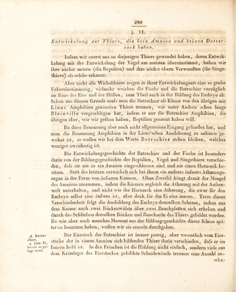 2m A. Batra- chier. a. Das Ei, bevor es ge- legt wird. * §. 11. Entwich elung der Thiere, die lein Amnion und leinen Dotter- sack haben♦ Indem wir zuerst uns an diejenigen Thiere gewendet haben, deren Entwik- kelung mit der Entwickelung der Vögel am meisten übereinstimmt, haben wir ihre nächst untern (die Reptilien) und ihre nächst obern Verwandten (die Säuge- thiere) als solche erkannt. Aber nicht alle Wirbelthiere zeigen in ihrer Entwickelungsart eine so grofse Uebereinstimmung, vielmehr weichen die Fische und die Batrachier vorzüglich im Baue des Eies und der Hüllen, zum Theil auch in der Bildung des Embryo ab. Schon aus diesem Grunde mufs man die Batrachier als Klasse von den übrigen seit Lin ne Amphibien genannten Thiere trennen, wie unter Andern schon lange Blainville vorgeschlagen hat, indem er nur die Batrachier Amphibien, die übrigen aber, wie wir gethan haben, Reptilien genannt haben will. Da diese Benennung aber noch nicht allgemeinen Eingang gefunden hat, und man die Benennung Amphibien in der Linne’schen Ausdehnung zu nehmen ge- wohnt ist, so wollen wir bei dem Worte Batrachier stehen bleiben, welches weniger zweideutig ist. Die Entwickelungsgeschichte der Batrachier und der Fische ist besonders darin von der Bildungsgeschichte der Reptilien, Vögel und Säugethiere verschie- den , dafs sie nie in ein Amnion eingeschlossen sind und nie einen Harnsack be- sitzen. Statt des letztem entwickelt sich bei ihnen ein anderes äufseres Athmungs- organ in der Form von äufseren Kiemen. Ohne Zweifel hängt damit der Mangel des Amnions zusammen, indem die Kiemen sogleich die Athmung mit der Aufsen- wrelt unterhalten, und nicht wie der Harnsack eine Athmung, die zwrar für den Embryo selbst eine äufsere ist, aber doch für das Ei eine innere. Trotz dieser Verschiedenheit folgt die Ausbildung des Embryo demselben Schema, indem aus dem Keime auch zwTei Rückenwülste über zwei Bauchplatten sich erheben und durch das Schliefsen derselben Rücken und Bauchseite des Thiers gebildet werden. Da wir aber noch manches Moment aus der Bildungsgeschichte dieser Klasse spä- ter zu benutzen haben, wollen wTir sie einzeln durchgehen. Der Eierstock der Batrachier ist immer paarig, aber wesentlich vom Eier- stocke der in einem Amnion sich bildenden Thiere darin verschieden, dafs er im Innern hohl ist. In den Fröschen ist die Höhlung nicht einfach, sondern viele aus dem Keimlager des Eierstockes gebildete Scheidewände trennen eine Anzahl an- sehn-