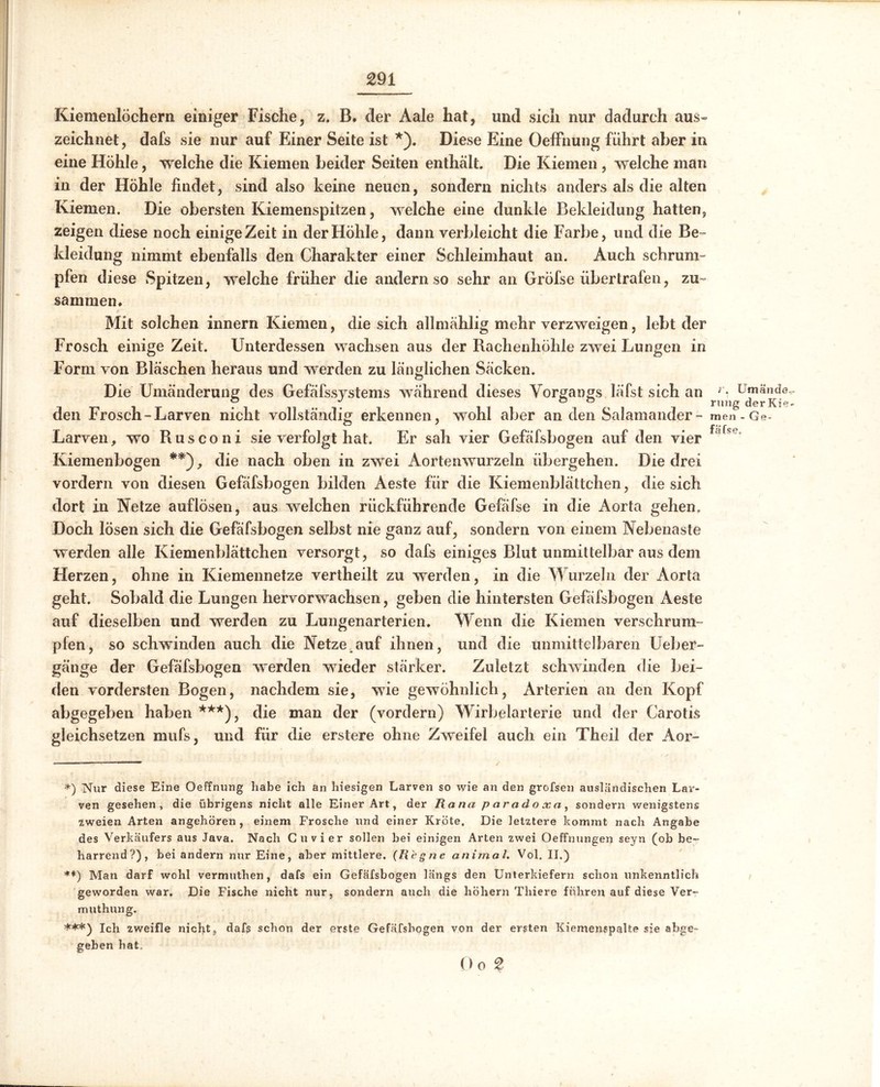 £91 Kiemenlöchern einiger Fische, z. B. der Aale hat, und sich nur dadurch aus» zeichnet, dafs sie nur auf Einer Seite ist *). Diese Eine Oeffnung führt aber in eine Höhle, welche die Kiemen beider Seiten enthalt. Die Kiemen , welche man in der Höhle findet, sind also keine neuen, sondern nichts anders als die alten Kiemen. Die obersten Kiemenspitzen, welche eine dunkle Bekleidung hatten, zeigen diese noch einige Zeit in der Höhle, dann verbleicht die Farbe, und die Be- kleidung nimmt ebenfalls den Charakter einer Schleimhaut an. Auch schrum- pfen diese Spitzen, welche früher die andern so sehr an Gröfse über trafen, zu- sammen. Mit solchen innern Kiemen, die sich allmählig mehr verzweigen, lebt der Frosch einige Zeit. Unterdessen wachsen aus der Rachenhöhle zwei Lungen in Form von Bläschen heraus und werden zu länglichen Säcken. Die Umänderung des Gefäfssystems während dieses Vorgangs läfst sich an den Frosch-Larven nicht vollständig erkennen, wohl aber an den Salamander- Larven, wo Rusconi sie verfolgt hat. Er sah vier Gefäfsbogen auf den vier Kiemenbogen **), die nach oben in zwei Aortenwurzeln übergehen. Die drei vordem von diesen Gefäfsbogen bilden Aeste für die Kiemenblättchen, die sich dort in Netze auflösen, aus welchen rückführende Gefäfse in die Aorta gehen. Doch lösen sich die Gefäfsbogen selbst nie ganz auf, sondern von einem Nebenaste werden alle Kiemenblättchen versorgt, so dafs einiges Blut unmittelbar aus dem Herzen, ohne in Kiemennetze vertheilt zu werden, in die Wurzeln der Aorta geht. Sobald die Lungen hervorwachsen, geben die hintersten Gefäfsbogen Aeste auf dieselben und werden zu Lungenarterien. Wenn die Kiemen verschrum- pfen, so schwinden auch die Netze_auf ihnen, und die unmittelbaren Ueber- gänge der Gefäfsbogen werden wieder stärker. Zuletzt schwinden die bei- den vordersten Bogen, nachdem sie, wie gewöhnlich, Arterien an den Kopf abgegeben haben ***), die man der (vordem) Wirbelarterie und der Carotis gleichsetzen rnufs, und für die erstere ohne Zweifel auch ein Theil der Aor- r« Umände rmig derKie men - Ge* *) Nur diese Eine Oeffnung habe ich an hiesigen Larven so wie an den grofsen ausländischen Lar- ven gesehen, die übrigens nicht alle Einer Art, der Rana paradoxa, sondern wenigstens zweien Arten angehören, einem Frosche und einer Kröte. Die letztere kommt nach Angabe des Verkäufers aus Java. Nach Cu vier sollen hei einigen Arten zwei Oeffnungen seyn (ob be- harrend?), bei andern nur Eine, aber mittlere. (Regne animal. Vol. II.) **) Man darf wohl vermuthen, dafs ein Gefäfsbogen längs den Unterkiefern schon unkenntlich geworden war. Die Fische nicht nur, sondern auch die höhern Thiere fuhren auf diese Ver~ muthung. ***) Ich zweifle nicht, dafg schon der erste Gefäfsbogen von der ersten Kiemenspalte sie abge- geben hat. Do %
