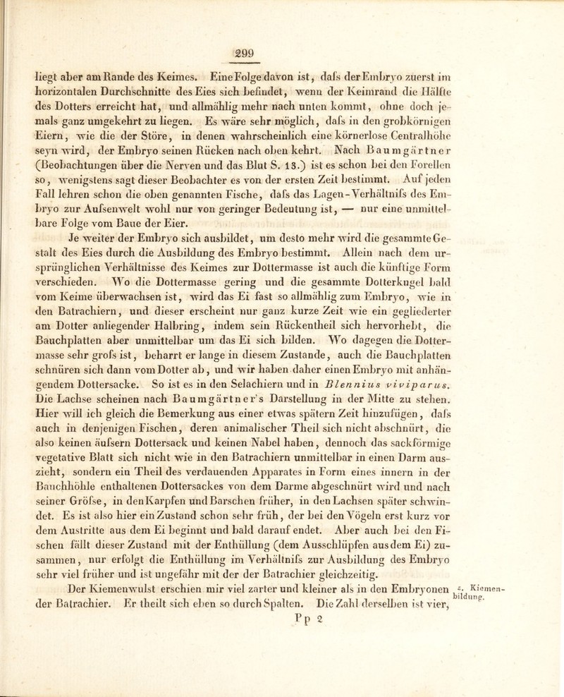 £99 liegt aber am Rande des Keimes. Eine Folge davon ist, dafs der Embryo zuerst im horizontalen Durchschnitte des Eies sich befindet, wenn der Keimrand die Hälfte des Dotters erreicht hat, und allmählig mehr nach unten kommt, ohne doch je- mals ganz umgekehrt zu liegen. Es wäre sehr möglich, dafs in den grobkörnigen Eiern, wie die der Störe, in denen wahrscheinlich eine körnerlose Centralhöhe seyn wird, der Embryo seinen Rücken nach oben kehrt. Nach Baumgärtner (Beobachtungen über die Nerven und das Blut S. 13.) ist es schon bei den Forellen so, wenigstens sagt dieser Beobachter es von der ersten Zeit bestimmt. Auf jeden Fall lehren schon die oben genannten Fische, dafs das Lagen- Yerhältnifs des Em- bryo zur Aufsenwelt wohl nur von geringer Bedeutung ist, — nur eine'unmittel- bare Folge vom Baue der Eier. Je weiter der Embryo sich ausbildet, um desto mehr wird die gesammteGe- stalt des Eies durch die Ausbildung des Embryo bestimmt. Allein nach dem ur- sprünglichen Verhältnisse des Keimes zur Dottermasse ist auch die künftige Form verschieden. Wo die Dottermasse gering und die gesammte Dotterkugel bald vom Keime überwachsen ist, wird das Ei fast so allmählig zum Embryo, wie in den Batrachiern, und dieser erscheint nur ganz kurze Zeit wie ein gegliederter am Dotter anliegender Halbring, indem sein Rückentheil sich hervorhebt, die Bauchplatten aber unmittelbar um das Ei sich bilden. Wo dagegen die Dotter- masse sehr grofs ist, beharrt er lange in diesem Zustande, auch die Bauchplatten schnüren sich dann vom Dotter ab, und wir haben daher einen Embryo mit anhän- gendem Dottersacke. So ist es in den SeJachiern und in Blennius viviparus. Die Lachse scheinen nach Baumgärtner’s Darstellung in der Mitte zu stehen. Hier will ich gleich die Bemerkung aus einer etwas spätem Zeit hinzufügen, dafs auch in denjenigen Fischen, deren animalischer Theil sich nicht abschnürt, die also keinen äufsern Dottersack und keinen Nabel haben, dennoch das sackförmige vegetative Blatt sich nicht wie in den Batrachiern unmittelbar in einen Darm aus- zieht, sondern ein Theil des verdauenden Apparates in Form eines innern in der Bauchhöhle enthaltenen Dottersackes von dem Darme abgeschnürt wird und nach seiner Gröfse, in den Karpfen und Barschen früher, in den Lachsen später schwin- det. Es ist also hier ein Zustand schon sehr früh, der bei den Vögeln erst kurz vor dem Austritte aus dem Ei beginnt und bald darauf endet. Aber auch bei den Fi- schen fällt dieser Zustand mit der Enthüllung (dem Ausschlüpfen aus dem Ei) zu- sammen, nur erfolgt die Enthüllung im Verhältnifs zur Ausbildung des Embryo sehr viel früher und ist ungefähr mit der der Batrachier gleichzeitig. Der Kiemenwulst erschien mir viel zarter und kleiner als in den Embryonen Kiemen, der Batrachier. Er theilt sich eben so durch Spalten. Die Zahl derselben ist vier, Pp 2 bildung'.