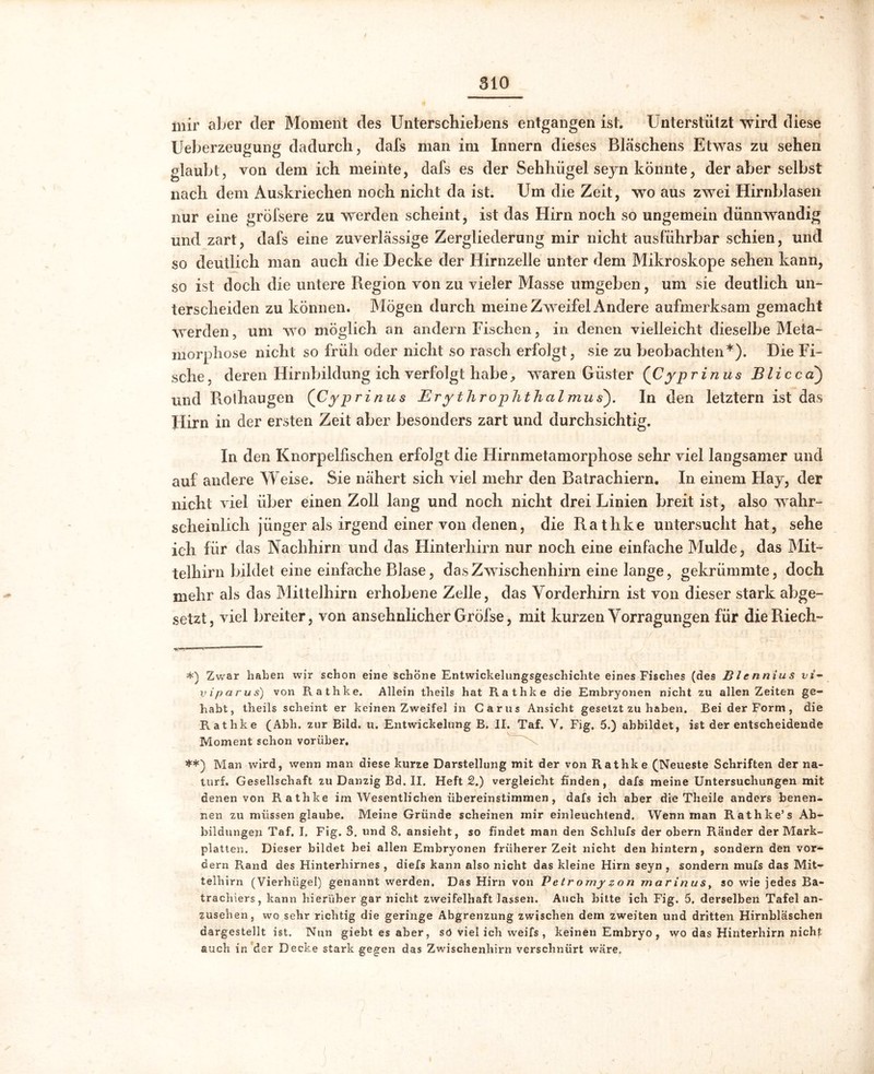 mir aber der Moment des Unterschiebens entgangen ist. Unterstützt wird diese Ueberzeugung dadurch, dafs man im Innern dieses Bläschens Etwas zu sehen glaubt, von dem ich meinte, dals es der Sehhiigel seyn könnte, der aber selbst nach dem Auskriechen noch nicht da ist. Um die Zeit, wo aus zwei Hirnblasen nur eine gröfsere zu werden scheint, ist das Hirn noch so ungemein dünnwandig und zart, dafs eine zuverlässige Zergliederung mir nicht ausführbar schien, und so deutlich man auch die Decke der Hirnzelle unter dem Mikroskope sehen kann, so ist doch die untere Region von zu vieler Masse umgeben, um sie deutlich un- terscheiden zu können. Mögen durch meine Zweifel Andere aufmerksam gemacht werden, um wo möglich an andern Fischen, in denen vielleicht dieselbe Meta- morphose nicht so früh oder nicht so rasch erfolgt, sie zu beobachten*). Die Fi- sche , deren Hirnbildung ich verfolgt habe, waren Güster (jCyprinus Blicca) und Rothaugen (Cyprinus Erythrophthcilmus). In den letztem ist das Hirn in der ersten Zeit aber besonders zart und durchsichtig. In den Knorpelfischen erfolgt die Hirnmetamorphose sehr viel langsamer und auf andere Weise. Sie nähert sich viel mehr den Batrachiern. In einem Hay, der nicht viel über einen Zoll lang und noch nicht drei Linien breit ist, also wahr- scheinlich jünger als irgend einer von denen, die Rathke untersucht hat, sehe ich für das Nachhirn und das Hinterhirn nur noch eine einfache Mulde, das Mit- telhirn bildet eine einfache Blase, das Zwischenhirn eine lange, gekrümmte, doch mehr als das Mittelhirn erhobene Zelle, das Vorderhirn ist von dieser stark abge- setzt, viel breiter, von ansehnlicher Gröfse, mit kurzen Vorragungen für die Riech- *) Zwar haben wir schon eine schone Entwickelungsgeschichte eines Fisches (des Blennius vt- vipcirus) von Rathke. Allein theils hat R.athke die Embryonen nicht zu allen Zeiten ge- habt, theils scheint er keinen Zweifel in Carus Ansicht gesetzt zu haben. Bei der Form, die Rathke (Abh. zur Bild. u. Entwickelung B. II. Taf. V, Fig, 5.) abbildet, ist der entscheidende Moment schon vorüber. **) Man wird, wenn man diese kurze Darstellung mit der von Piathke (Neueste Schriften der na- turf. Gesellschaft zuDanzigBd.il. Heft2.) vergleicht finden, dafs meine Untersuchungen mit denen von Rathke im Wesentlichen übereinstimmen , dafs ich aber die Theile anders benen- nen zu müssen glaube. Meine Gründe scheinen mir einleuchtend. Wenn man Rathke’s Ab- bildungen Taf. I. Fig. 3. und 8. ansieht, so findet man den Schlufs der obern Ränder der Mark- platten. Dieser bildet hei allen Embryonen früherer Zeit nicht den hintern, sondern den vor- dem Rand des Hinterhirnes , diefs kann also nicht das kleine Hirn seyn , sondern mufs das Mit** telhirn (Vierhügel) genannt werden. Das Hirn von P etr omy z o n m a r i n us, so wie jedes Ba- trachiers, kann hierüber gar nicht zweifelhaft lassen. Auch bitte ich Fig. 5. derselben Tafel an- zusehen, wo sehr richtig die geringe Abgrenzung zwischen dem zweiten und dritten Hirnbläschen dargestellt ist. Nun giebt es aber, sö viel ich weifs , keinen Embryo , wo das Hinterhirn nicht auch in der Decke stark gegen das Zwischenhirn verschnürt wäre.