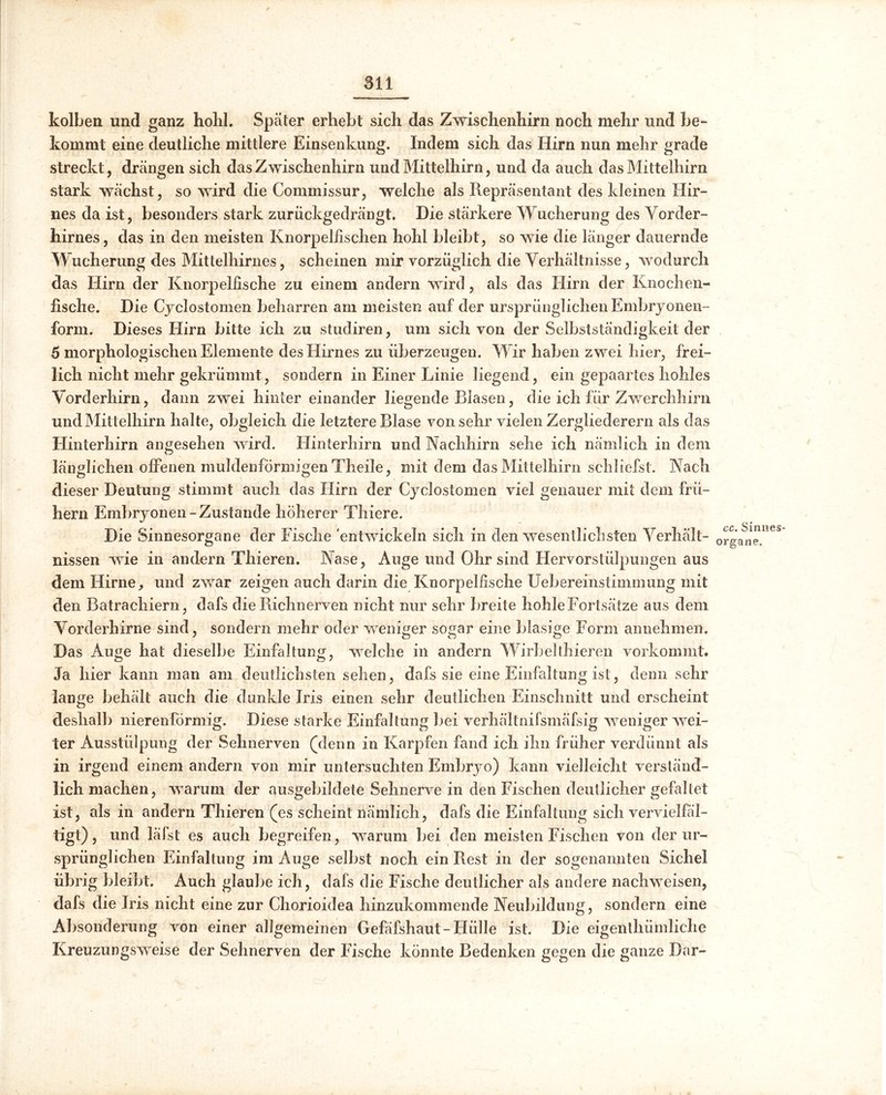 kolben und ganz hohl. Später erhebt sich das Zwischenhirn noch mehr und be- kommt eine deutliche mittlere Einsenkung. Indem sich das Hirn nun mehr grade streckt, drängen sich das Zwischenhirn und Mittelhirn, und da auch das Mittelhirn stark wächst, so wird die Commissur, welche als Repräsentant des kleinen Hir- nes da ist, besonders stark zurückgedrängt. Die stärkere Wucherung des Vorder- hirnes, das in den meisten Knorpelfischen hohl bleibt, so wie die länger dauernde Wucherung des Mittelhirnes, scheinen mir vorzüglich die Verhältnisse, wodurch das Hirn der Knorpelfische zu einem andern wird, als das Hirn der Knochen- fische. Die Cyclostomen beharren am meisten auf der ursprünglichen Embryonen- form. Dieses Hirn bitte ich zu studiren, um sich von der Selbstständigkeit der 5 morphologischen Elemente des Hirnes zu überzeugen. Wir haben zwei hier, frei- lich nicht mehr gekrümmt, sondern in Einer Linie liegend, ein gepaartes hohles Vorderhirn, dann zwei hinter einander liegende Blasen, die ich für Zwerchhirn und Mittelhirn halte, obgleich die letztere Blase von sehr vielen Zergliederern als das Hinterhirn angesehen wird. Hinterhirn und Nachhirn sehe ich nämlich in dem länglichen offenen muldenförmigen Theile, mit dem das Mittelhirn schliefst. Nach dieser Deutung stimmt auch das Hirn der Cyclostomen viel genauer mit dem frü- hem Embryonen-Zustande höherer Thiere. Die Sinnesorgane der Fische entwickeln sich in den wesentlichsten Verhält- nissen wie in andern Thieren. Nase, Auge und Ohr sind Hervorstülpungen aus dem Hirne, und zwar zeigen auch darin die Knorpelfische Uebereinstimmung mit den Batrachiern, dafs die Richnerven nicht nur sehr breite hohle Fortsätze aus dem Vorderhirne sind, sondern mehr oder weniger sogar eine blasige Form annehmen. Das Auge hat dieselbe Einfaltung, welche in andern Wirhellhieren vorkommt. Ja hier kann man am deutlichsten sehen, dafs sie eine Einfaltung ist, denn sehr lange behält auch die dunkle Iris einen sehr deutlichen Einschnitt und erscheint deshalb nierenförmig. Diese starke Einfaltung bei verhältnifsmäfsig weniger wei- ter Ausstülpung der Sehnerven (denn in Karpfen fand ich ihn früher verdünnt als in irgend einem andern von mir untersuchten Embryo) kann vielleicht verständ- lich machen, warum der ausgebildete Sehnerve in den Fischen deutlicher gefaltet ist, als in andern Thieren (es scheint nämlich, dafs die Einfaltung sich vervielfäl- tigt) , und läfst es auch begreifen, warum bei den meisten Fischen von der ur- sprünglichen Einfaltung im Auge selbst noch ein Rest in der sogenannten Sichel übrig bleibt. Auch glaube ich, dafs die Fische deutlicher als andere nachweisen, dafs die Iris nicht eine zur Chorioidea hinzukommende Neubildung, sondern eine Absonderung von einer allgemeinen Gefäfshaut-FIülle ist. Die eigentümliche Kreuzungsweise der Sehnerven der Fische könnte Bedenken gegen die ganze Dar- cc. Sinnes- organe.