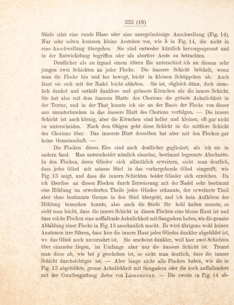 Stiele sitzt eine runde Blase oder eine unregelmässige Anschwellung (Fig. 14). Nur sehr selten kommen kleine Aestchen vor, wie h in Fig, 14, die nicht in eine Anschwellung übergehen. Sie sind entweder kürzKch hervorgesprosst und in der Entwickelung begriffen oder als abortive Aeste zu betrachten. Deutlicher als an irgend einem altern Eie unterschied ich an diesem sehr jungen zwei Schichten an jeder Flocke. Die äussere Schicht bröckelt, wenn man 'die Flocke hin und her bewegt, leicht in kleinen Schüppchen ab. Auch lässt sie sich mit der Nadel leicht abheben. Sie ist, obgleich dünn, doch ziem- lich dunkel und enthält dunklere und grössere Körnchen als die innere Schicht. Sie hat also mit dem äussern Blatte des Chorions die grösste Aehnlichkeit in der Textur, und in der That konnte ich sie an der Basis der Flocke von dieser aus ununterbrochen in das äussere Blatt des Chorions verfolgen. — Die innere Schicht ist auch körnig, aber die Körnchen sind heller und kleiner, oft gar nicht zu unterscheiden. Nach dem Obigen geht diese Schicht in die mittlere Schicht des Chorions über. Das innerste Blatt desselben hat aber mit den Flocken gar keine Gemeinschaft. — Die Flocken dieses Eies sind auch deutlicher gegliedert, als ich sie in andern fand. Man unterscheidet nämlich einzelne, bestimmt begrenzte Abschnitte. In den Flocken, deren Glieder sich allmählich erweitern, sieht man deutlich, dass jedes Glied mit seinem Stiel in das vorhergehende Glied eingreift, wie Fig. 13 zeigt, und dass die innern Schichten beider Glieder sich erreichen. Da ich überdies an diesen Flocken durch Zerreissung mit der Nadel sehr bestimmt eine Höhlung im erweiterten Theile jedes Gliedes erkannte, der erweiterte Theil aber ohne bestimmte Grenze in den Stiel übergeht, und ich kein Aufhören der* Höhlung bemerken konnte, also auch die Stiele für hohl halten musste, so sieht man leicht, dass die innere Schicht in diesen Flocken eine blosse Haut ist und dass solche Flocken eine auffallende Aehnlichkeit mit Saugadern haben, wie die genaue Abbildung einer Flocke in Fig. 13 anschaulich macht. Es wird übrigens wohl keinen Anatomen irre führen, dass hier die innere Haut jedes Gliedes dunkler abgebildet ist, wo das Glied noch unversehrt ist. Sie erscheint dunkler, weil hier zwei Schichten über einander liegen, im Umfange aber nur die äussere Schicht ist. Trennt man diese ab, wie bei g geschehen ist, so sieht man deutlich, dass die innere Schicht durchsichtiger ist. — Aber lange nicht alle Flocken haben, wie die in Fig. 13 abgebildete, grosse Aehnlichkeit mit Saugadern oder die noch auffallendere mit der Corallengattung Aetea von Lamouroux. — Die zweite in Fig. 14 ab-