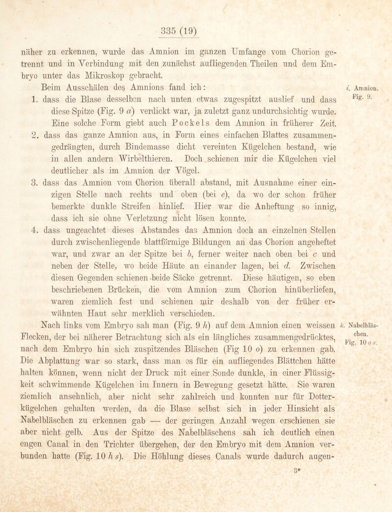 /' y , ' 335 (19) V ' J näher zu erkennen, wurde das Amnion im ganzen Umfange vom Cliorion ge- trennt und in Verbindung mit den zunächst aufliegenden Theilen und dem Em- bryo unter das Mikroskop gebracht. Beim Ausschälen des Amnions fand ich: 1. dass die Blase desselben nach unten etwas zugespitzt auslief und dass diese Spitze (Eig. 9 d) verdickt war, ja zuletzt ganz undurchsichtig wurde. Eine solche Form giebt auch Bock eis dem Amnion in früherer Zeit. 2. dass das ganze Amnion aus, in Form eines einfachen Blattes zusammen- gedrängten, durch Bindemasse dicht vereinten Kügelchen bestand, wie in allen andern Wirbelthieren. Doch schienen mir die Kügelchen viel deutlicher als im Amnion der Vogel. 3. dass das Amnion vom Chorion überall abstand, mit Ausnahme einer ein- zigen Stelle nach rechts und oben (bei ß), da wo der schon früher bemerkte dunkle Streifen hinlief. Hier war die Anheftung so innig, dass ich sie ohne Verletzung nicht lösen konnte. 4. dass ungeachtet dieses Abstandes das Amnion doch an einzelnen Stellen durch zwischenliegende blattförmige Bildungen an das Chorion angeheftet war, und zwar an der Spitze bei 6, ferner weiter nach oben bei c und neben der Stelle^ wo beide Häute an einander lagen, bei d. Zwischen diesen Gegenden schienen-beide Säcke getrennt. Diese häutigen, so eben beschriebenen Brücken, die vom Amnion zum Chorioii hinüberliefen, waren ziemlich fest und schienen mir deshalb von der früher er- wähnten Haut sehr merklich verschieden. Nach links vom Embryo sah man (Fig. 9 h) auf dem Amnion einen weissen Flecken, der bei näherer Betrachtung sich als ein längliches zusammengedrücktes, nach dem Embryo hin sich zuspitzendes Bläschen (Fig 10 o) zu erkennen gab. Die Abplattung war so stark, dass man es für ein aufliegendes Blättchen hätte halten können, wenn nicht der Druck mit einer Sonde dunkle, in einer Flüssig- keit schwimmende Kügelchen im Innern in Bewegung gesetzt hätte. Sie waren ziemlich ansehnlich, aber nicht sehr zahlreich und konnten nur für Dotter- kügelchen gehalten werden, da die Blase selbst sich in jeder Hinsicht als Nabelbläschen zu erkennen gab — der geringen Anzahl wegen erschienen sie aber nicht gelb. Aus der Spitze des Nabelbläschens sah ich deutlich einen engen Canal in den Trichter übergehen, der den Embryo mit dem Amnion ver- bunden hatte (Fig. 10 A 5). Die Höhlung dieses Canals wurde dadurch augen- 3^ i. Amnion. Fig. 9. '. Nabelbläs- chen. Fig. 10 OS.