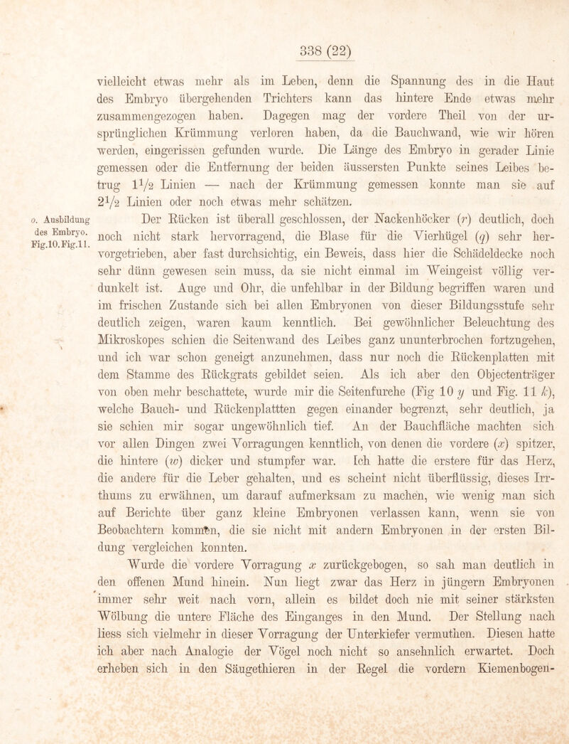 0. Ausbildung des Embryo. Eig.10.Fig.il. vielleicht ehvas mehr als im Lehen, denn die Spannung des in die Haut des Embryo ühergelienden Trichters kann das hintere Ende etwas mehr zusammengezogen haben. Dagegen mag der vordere Theil von der ur- sprünglichen Krümmung verloren haben, da die Bauchwand, wie wir hören werden, eingerissen gefunden wurde. Die Länge des Embryo in gerader Linie gemessen oder die Entfernung der beiden äussersten Punkte seines Leibes be- trug II/2 Linien — nach der Krümmung gemessen konnte man sie auf 2V2 Linien oder noch etwas mehr schätzen. Der Eücken ist überall geschlossen, der Hackenliöcker (7^) deutlich, doch noch nicht stark hervorragend, die Blase für die Yierhügel (q) sehr her- vorgetrieben, aber fast durchsichtig, ein Beweis, dass hier die Schädeldecke noch sehr dünn gewesen sein muss, da sie nicht einmal im Weingeist völlig ver- dunkelt ist. Auge und Ohr, die unfehlbar in der Bildung begriffen waren und im frischen Zustande sich bei allen Embryonen von dieser Bildungsstufe sehr deutlich zeigen, waren kaum kenntlich. Bei gewöhnlicher Beleuchtung des Mikroskopes schien die Seitenwand des Leibes ganz ununterbrochen fortzugehen, und ich war schon geneigt anzunehmen, dass nur noch die Eückenplatten mit dem Stamme des Eückgrats gebildet seien. Als ich aber den Objectenträger von oben mehr beschattete, wurde mir die Seitenfurehe (Pig 10 y und Eig. 11 welche Bauch- und Eückenplattten gegen einander begrenzt, sehr deutlich, ja sie schien mir sogar ungewöhnlich tief. An der Bauchfläche machten sich vor allen Dingen zwei Yorragungen kenntlich, von denen die vordere {x) spitzer, die hintere (tv) dicker und stumpfer war. Ich hatte die erstere für das Herz, die andere für die Leber gehalten, und es scheint nicht überflüssig, dieses Irr- thums zu erwähnen, um darauf aufmerksam zu machen, wie wenig man sich auf Berichte über ganz kleine Embryonen verlassen kann, wenn sie von Beobachtern kommt^n, die sie nicht mit andern Embryonen in der ersten Bil- dung vergleichen konnten. Wurde die vordere Yorragung x zurückgebogen, so sah man deutlich in den offenen Mund hinein. Nun liegt zwar das Herz in jüngern Embryonen immer sehr weit nach vorn, allein es bildet doch nie mit seiner stärksten Wölbung die untere Fläche des Einganges in den Aiund. Der Stellung nach Hess sich vielmehr in dieser Yorragung der Hnterkiefer vermuthen. Diesen hatte ich aber nach Analogie der Yögel noch nicht so ansehnlich erwartet. Doch erheben sich in den Säugethieren in der Eegel die vordem Kiemenbogen-