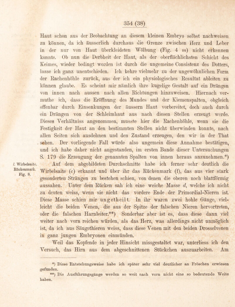 L Wirbelsaite. Eückenmark. ' Fig. 8. Haut schon aus der Beobachtung an diesem Meinen Embrjo selbst nachweisen zu können, da ich äusserlich durchaus die Grenze zwischen Herz und Leber in der nur von Haut überkleideten Wölbung (Fig. 4 in) nicht erkennen konnte. Ob nun die Derbheit der Haut, als der oberflächlichsten Schicht des Keimes, wieder bedingt worden ist durch die ungemeine Consistenz des Dotters, lasse ich ganz unentschieden. Ich kehre vielmehr zu der ungewöhnlichen Form der Eachenhöhle zurück, aus der ich ein physiologisches Eesultat ableiten zu können glaube. Es scheint mir nämlich ihre kugelige Gestalt auf ein Drängen von innen nach aussen nach allen Eichtungen hinzuweisen. Hiernach ver- muthe ich, dass die Eröffnung des Mundes und der Kiemenspalten, obgleich offenbar durch Einsenkungen der äussern Haut vorbereitet, doch auch durch ein Drängen von der Schleimhaut aus nach diesen Stellen erzeugt werde. Dieses Yerhältniss angenommen, musste hier die Eachenhöhle, wenn sie die Festigkeit der Haut an den bestimmten Stellen nicht überwinden konnte, nach allen Seiten sich ausdehnen und den Zustand erzeugen, den wir in der That sehen. Der vorliegende Fall wüirde also ungemein diese Annahme bestätigen, und ich habe daher nicht angestanden, im ersten Bande dieser IJntersuchungen S. 179 die Erzeugung der genannten Spalten von innen heraus anzunehmen.*) Auf dem abgebildeten Durchschnitte habe ich ferner sehr deutlich die Wirbelsaite (c) erkannt und über ihr das Eückenmark (f), das aus vier stark gesonderten Strängen zu bestehen schien, von denen die oberen noch blattförmig aussahen. Unter dem Eücken sah ich eine weiche Masse (7, welche ich nicht zu deuten weiss, wenn sie nicht das vordere Ende der Primordial-Meren ist. Diese Masse schien mir ungetheilt. In ihr waren zwei hohle Gänge, viel- leicht die beiden Venen, die aus der Spitze der falschen Nieren hervortreten, oder die falschen Harnleiter.**) Sonderbar aber ist es, dass diese dann viel weiter nach vorn reichen würden, als das Herz, was allerdings nicht unmöglich ist, da ich aus Säugethieren weiss, dass diese Venen mit den beiden Drosselvenen in ganz jungen Embryonen einmünden. Weil das Kopfende in jeder Hinsicht missgestaltet war, unterliess ich den Versuch, das Hirn aus dem abgeschnittenen Stückchen auszuarbeiten. Am *) Diese Entsteiiungsweise habe icb später sehr viel deutlicher an Fröschen erwiesen gefunden. **) Die Ausführungsgänge werden so weit nach vorn nicht eine so bedeutende Weite haben.