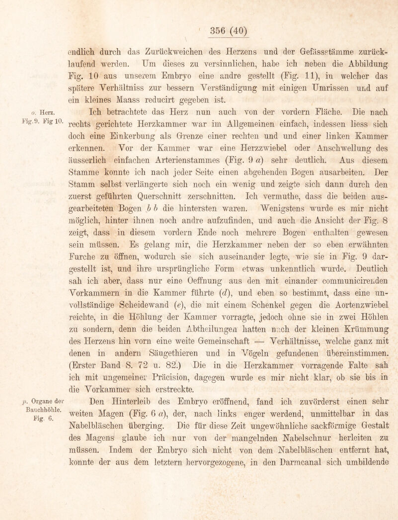 0. Herz. Fig.9. Fig 10. ]). Organe der Banclihöhle. Fig. 6. endlicli durch das Zurückweichen des Herzens und der Gefässstäinme zurück- laufend werden. Um dieses zu versinnlichen, habe ich neben die Abbildung Fig. 10 aus unserem Embryo eine andre gestellt (Fig. 11), in welcher das spätere Verhältniss zur bessern Verständigung mit einigen Umrissen und auf ein kleines Maass reducirt gegeben ist. Ich betrachtete das Herz nun auch von der vordem Fläche. Die rach rechts gerichtete Herzkammer war im Allgemeinen einfach, indessen liess sich doch eine Einkerbung als Grenze einer rechten und und einer linken Kammer erkennen. Vor der Kammer war eine Herzzwiebel oder Anschwellung des äusserlich einfachen Arterienstammes (Fig. 9 d) sehr deutlich. Aus diesem Stamme konnte ich nach jeder Seite einen abgehenden Bogen ausarbeiten. Der Stamm selbst verlängerte sich noch ein wenig und zeigte sich dann durch den zuerst geführten Querschnitt zerschnitten. Ich vermuthe, dass die beiden aus- gearbeiteten Bogen h h die hintersten waren. Wenigstens wurde es mir nicht möglich, hinter ihnen noch andre aufzufinden, und auch die Ansicht der Fig. 8 zeigt, dass in diesem vordem Ende noch mehrere Bogen enthalten gewesen sein müssen. Es gelang mir, die Herzkammer neben der so eben erwähnten Furche zu Öffnen, wodurch sie sich auseinander legte, wie sie in Fig. 9 dar- gestellt ist, und ihre ursprüngliche Form etwas unkenntlich wurde. Deutlich sah ich aber, dass nur eine Oeffniing aus den mit einander communicirenden Vorkammern in die Kammer fülirte {d), und eben so bestimmt, dass eine un- vollständige Scheidewand (c), die mit einem Schenkel gegen die Aortenzwiebel reichte, in die Höhlung der Kammer vorragte, jedoch ohne sie in zwei Höhlen zu sondern, denn die beiden Abtheilungen hatten nach der kleinen Krümmung des Herzens hin vorn eine weite Gemeinschaft — Verhältnisse, welche ganz mit denen in andern Säugethieren und in Vögeln gefundenen übereinstimmen. (Erster Band S. 72 u. 82.) Die in die Herzkammer vorragende Falte sah ich mit ungemeiner Präcision, dagegen wurde es mir nicht klar, ob sie bis in die Vorkammer sich erstreckte. Den Hinterleib des Embryo eröffnend, fand ich zuvörderst einen sehr weiten Magen (Fig. 6 a), der, nach links enger werdend, unmittelbar in das Nabelbläschen überging. Die für diese Zeit ungewöhnliche sackförmige Gestalt des Magens glaube ich nur von der mangelnden Nabelschnur herleiten zu müssen. Indem der Embryo sich nicht von dem Nabelbläschen entfernt hat, konnte der aus dem letztem hervorgezogene, in. den Darmcanal sich umbildende