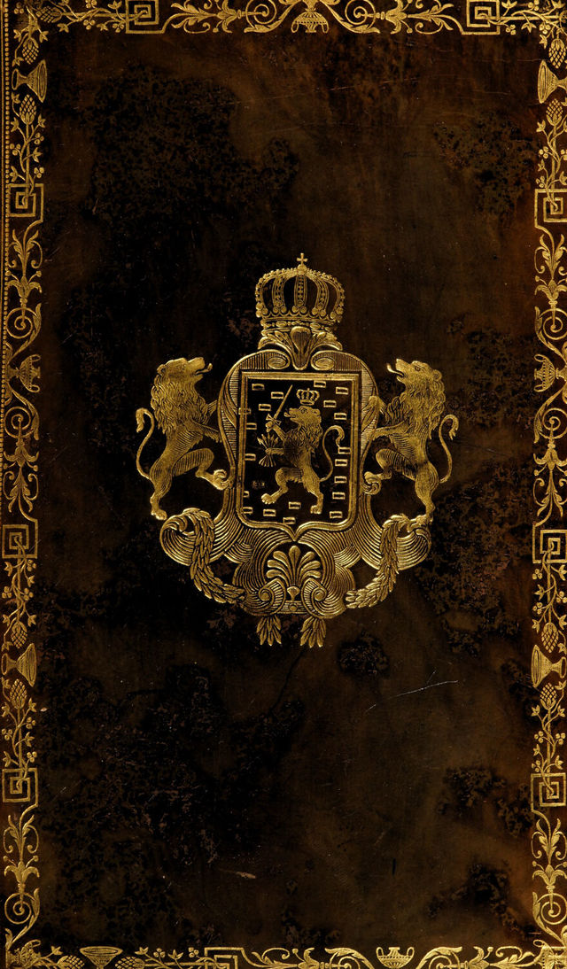 No text description is available for this image