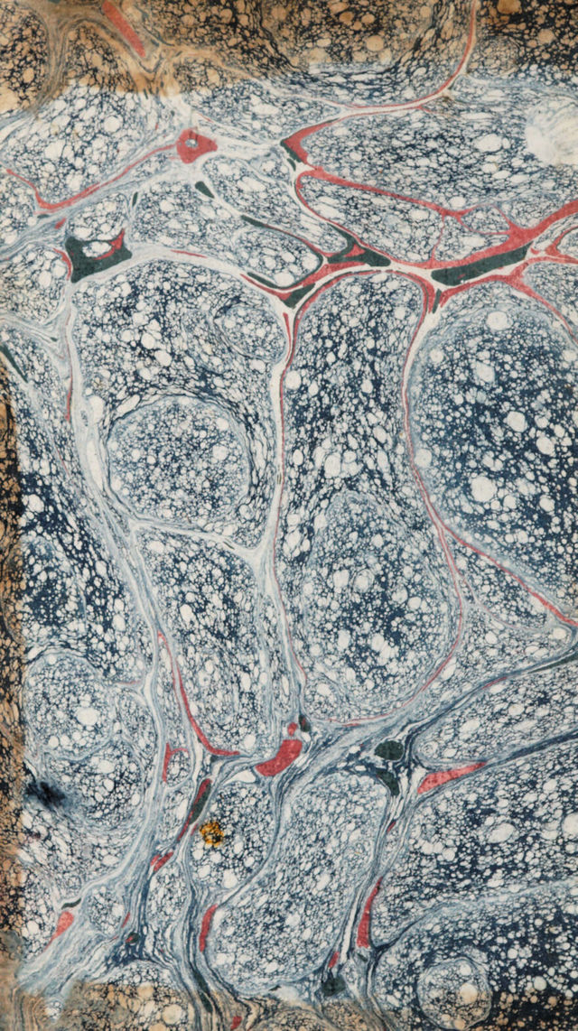 No text description is available for this image