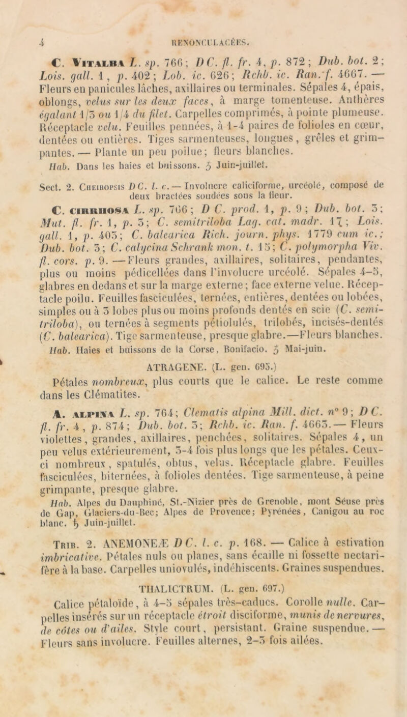 C. Vitalba L. sp. 760; DC. fl. fr. 4, p■ 872 ; Dub. bot. 2; Lois. gall. 1 , p. 402; Lob. ic. 626; Rchb. ic. Ran.'f. 4667. -— Fleurs en panicules lâches, axillaires ou terminales. Sépales 4, épais, oblongs, velus sur les deux faces, à marge tomenteuse. Anthères égalant 1/3 ou 1/4 du filet. Carpelles comprimés, à pointe plumeuse. Réceptacle velu. Feuilles pennées, à 1-4 paires de folioles en coeur, dentées ou entières. Tiges sarmenteuses, longues, grêles et grim- pantes.— Plante un peu poilue; fleurs blanches. Ilab. Dans les haies et buissons. 5 Juin-juillet. Sect. 2. Cheibopsis 1)C. I. r. — Involucre caliciforme, urcéolé, compose de deux bractées soudées sous la fleur. C. CIR.1111O8A L. sp. 766; D C. prod. 1, p. 9; l)iib. bot. 3; Mut. fl. fr. 1, p. 5; C. scmitriloba Lag. cal. madr. 1\ ; Lois, gall. 1, p. 403; C. balcarica Rich. journ. phys. 1779 cum ic.; Dub. bot. 3; C. cabjcina Schrank mon. t. 13; C. polymorpha Viv. fl. cors. p. 9.—Fleurs grandes, axillaires, solitaires, pendantes, plus ou moins pédicellées dans l’involucre urcéolé. Sépales 4-5, glabres en dedans et sur la marge externe ; lace externe velue. Récep- tacle poilu. Feuillesfasciculées, ternées, entières, dentées ou lobées, simples ou à 3 lobes plus ou moins profonds dentés en scie (C. semi- triloba), ou ternées à segments pétiolulés, trilobés, ineisés-dentés (C. balcarica). Tige sarmenteuse, presque glabre.—Fleurs blanches. tlab. Haies et buissons de la Corse. Bonifacio. 5 Mai-juin. ATRAGENE. (L. gcn. G9o.) Pétales nombreux, plus courts que le calice. Le reste comme dans les Clématites. A. alpina L. sp. 764; Clematis alpina Mill. dict. n° 9, DC. fl. fr. 4, p. 874; Dub. bot. 3; Rchb. ic. Han. f. 4663.— Fleurs violettes, grandes, axillaires, penchées, solitaires. Sépales 4, un peu velus extérieurement, 3-4 fois plus longs que les pétales. Ceux- ci nombreux, spatulés, obtus, velus. Réceptacle glabre. Feuilles fasciculées, Internées, à folioles dentées. Tige sarmenteuse, à peine grimpante, presque glabre. Ilab. Alpes du Dauphiné, St.-îSizier près de Grenoble, mont Séuse près de Gap, Glaciers-du-Bec; Alpes de Provence; Pyrénées, Canigou au roc blanc. \) Juin-juillet. Trib. 2. ÀNEMONEÆ DC. I. c. p. 168. — Calice à estivation imbricatire. Pétales nuis ou planes, sans écaille ni fossette nectari- fère à la base. Carpelles uniovulés, indéhiscents. Graines suspendues. TIIALICTRUM. (L. gen. 697.) Calice pétaloïde, à 4-5 sépales très-caducs. Corolle nulle. Car- pelles insérés sur un réceptacle étroit disciforme, munis de nervures, de côtes ou d'ailes. Style court, persistant. Graine suspendue.— Fleurs sans involucre. Feuilles alternes, 2-3 fois ailées.