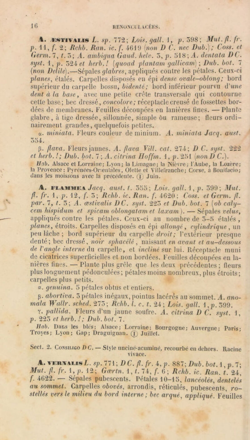 HKNONCI l.ACÉKS. 1() A. jK8TITali§ L. sp. 772; Lois. gall. J, p. 598; Mut. fl. fr. p. 11, f. 2; Rchb. Han. ic. f. 4619 (non D C. nec Dub.); Coss. et Germ. 7, /. 5; .4. ambigua Gaud. helv. 5, p. 518 ; A. dentata DC. syst. 1, p. 524 et herb.! [quoad plantain galiicam); Dub. bot. 7 (non Délite).—Sépales glabres, appliqués contre les pétales. Ceux-ci planes, étalés. Carpelles disposés en épi dense ovalc-oblong; bord supérieur du carpelle bossu, bidenté; bord inférieur pourvu d'une dent à la base, avec une petite crête transversale qui contourne cette base; bec dressé, concolore; réceptacle creusé de fossettes bor- dées de membranes. Feuilles découpées en lanières fines. —Plante glabre, à tige dressée, sillonnée, simple ôu rameuse; Heurs ordi- nairement grandes, quelquefois petites. a. miniata. Fleurs couleur de minium. -4. miniata Jaeq. aust. 554. (ï. /lava. Fleurs jaunes. A. /lava Vill. cat. 274; J) C. syst. 222 et herb. ! ; Dub. bot. 7 ; A. citrina Hoffm. 1, p. 251 [non 1) C.). Hcib. Alsace et Lorraine; Lyon; la Limagne; la Nièvre; l'Aube, la Lozère; la Provence; Pyrénées-Orientales, Olelte et Yillel'ranche; Corse, à Bonifacio; dans les moissons avec la précédente. 1 Juin. A. FLAitiHEA Jacq. aust.t. 555; Lois. gall. 1, p. 599; Mut. fl. fr. 1, p. 12, f. 5; Rchb. ic. Rail. f. 4620; Coss. et Germ. fl. par. 7, t. 5; A. œstivalis DC. syst. 225 et Dub. bot. 7 [ob caly— cem hispidum et spicamoblongatamet laœam). — Sépales velus, appliqués contre les pétales. Ceux-ci au nombre de 5-5 étalés , planes, étroits. Carpelles disposés en épi allongé, cylindrique, un peu lâche ; bord supérieur du carpelle droit; l’extérieur presque denté; bec dressé, noir sphacélé, naissant en avant et au-dessous de l'angle interne du carpelle, et incliné sur lui. Réceptacle muni de cicatrices superficielles et non bordées. Feuilles découpées en la- nières fines.— Plante plus grêle que les deux précédentes; Heurs plus longuement pédonculées; pétales moins nombreux,plus étroits; carpelles plus petits. a. genuina. 5 pétales obtus et entiers. p- abortiva. 5 pétales inégaux, pointus lacérés au sommet. A. ano- mala Wallr. sched. 275; Rchb. I. c. 1. 24; Lois. gall. \ ,p. 599. y. pallida. Fleurs d’un jaune soufre. A. citrina D C. syst. 1, p. 225 et herb. ! ; Dub. bot. 7. llab. Dans les blés; Alsace; Lorraine; Bourgogne; Auvergne; Paris- Troyes; Lyon; Gap; Draguignan. 0 Juillet. Scct. 2. Consiligo DC. — Style uncinc-acuminé, recourbé en dehors. Racine vivace. A. VERNALisI. sp. 771 ; DC. fl. fr. 4, p. 887; Dub. bot. 1, p. 7; Mut. fl. fr. 1, p. 12; Gœrtn. 1, t. 74, f. 6; Rchb. ic. Ran. t. 24, f. 4622. — Sépales pubescents. Pétales 10-15, lancéolés, dentelés au sommet. Carpelles obovés, arrondis, réticulés, pubescents, ro- stellés vers le milieu du bord interne ; bec arqué, appliqué. Feuilles