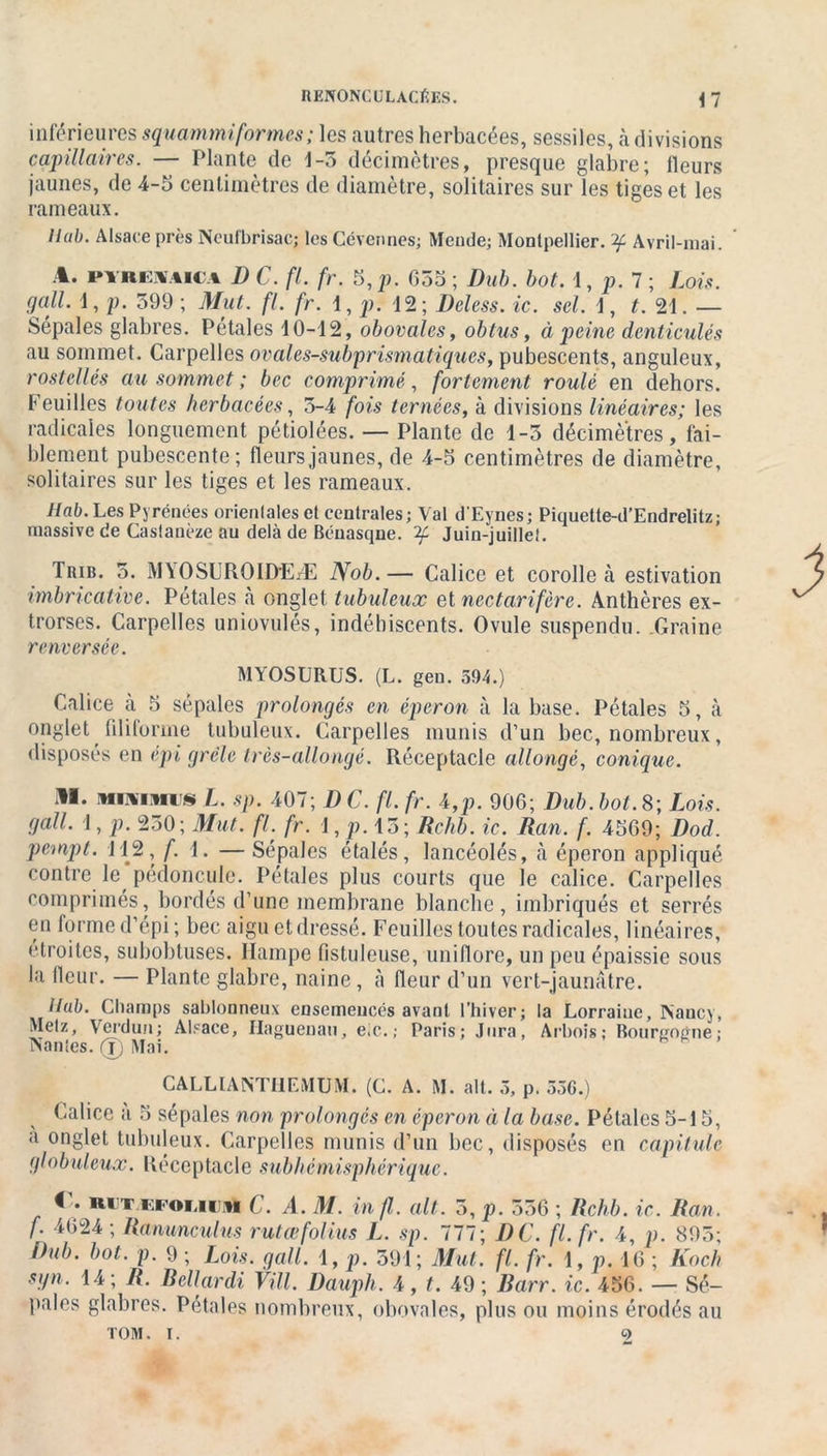 inférieures squammiformes ; les autres herbacées, sessiles, à divisions capillaires. — Plante de 1-3 décimètres, presque glabre; ileurs jaunes, de 4-5 centimètres de diamètre, solitaires sur les tiges et les rameaux. Hub. Alsace près Neufbrisac; les Cévennes; Meude; Montpellier. Avril-mai. PTREM4KA D C. fl. fr. 5 p. 655; Dub. bot. 1, p. 7 ; Lois, gall. 1, p. 599 ; Mut. fl. fr. 1, p. 12; Deless. ic. sel. 1, t. 21. — Sépales glabres. Pétales 10-12, obovales, obtus, à peine denticulés au sommet. Carpelles ovales-subprismatiques, pubescents, anguleux, rostellés au sommet ; bec comprimé, fortement roulé en dehors. Feuilles toutes herbacées, 3-4 fois ternées, à divisions linéaires; les radicales longuement pétiolées. — Plante de 1-5 décimètres, fai- blement pubescente; fleurs jaunes, de 4-5 centimètres de diamètre, solitaires sur les tiges et les rameaux. llab. Les Pyrénées orienlaleset centrales; Val d’Eynes; Piquette-d’Endrelitz; massive de Caslanèze au delà de Bénasqne. Juin-juillet. Trie. 5. MYOSCROID'EÆ Nob.— Calice et corolle à estivation imbricative. Pétales à onglet tubuleux et nectarifère. Anthères ex- trorses. Carpelles uniovulés, indéhiscents. Ovide suspendu. Graine renversée. MYOSURUS. (L. gen. 594.) Calice à 5 sépales prolongés en éperon à la base. Pétales 5, à onglet filiforme tubuleux. Carpelles munis d’un bec, nombreux, disposés en épi grêle très-allongé. Réceptacle allongé, conique. MIOTMIS L. sp. 407; D C. fl. fr. 4,p. 906; Dub. bot. 8; Lois, gall. 1, p. 230; Mut. fl. fr. 1, p. 13; Rchb. ic. Ran. f. 4569; Dod. pempt. 112, f. i. — Sépales étalés, lancéolés, à éperon appliqué contre le, pédoncule. Pétales plus courts que le calice. Carpelles comprimés, bordés d’une membrane blanche, imbriqués et serrés en forme d’épi; bec aigu ctdressé. Feuilles toutes radicales, linéaires, étroites, subobtuses. Hampe fistuleuse, uniflore, un peu épaissie sous la fleur. — Plante glabre, naine, à fleur d’un vert-jaunâtre. Hub. Champs sablonneux ensemences avant l’hiver; la Lorraine, JNaucy, Metz, Verdun; Alsace, Ilaguenau, eic.; Paris; Jura, Arbois ; Bourgogne; Manies. 0 Mai. CALLIANTI1EMUM. (C. A. M. ait. 5, p. 556.) Calice a 5 sépales non prolongés en éperon à la base. Pétales 5-15, a onglet tubuleux. Carpelles munis d’un bec, disposés en capitule globuleux. Réceptacle subhémisphérique. «. Hirnoiiin C. A. M. in fl. ait. 3, p. 356 ; Rchb. ic. Ran. f. 4624; Ranuncuius rutœfolius L. sp. 777; DC. fl. fr. 4, p. 895; Dub. bot. p. 9 ; Lois. gall. 1, p. 591; Mut. fl. fr. 1, p. 16 ; Koch sgn. 14; R. Bellardi Vill. Bauph. 4, t. 49; Barr. ic. 456. — Sé- pales glabres. Pétales nombreux, obovales, plus ou moins érodés au TOM. I. Ç>