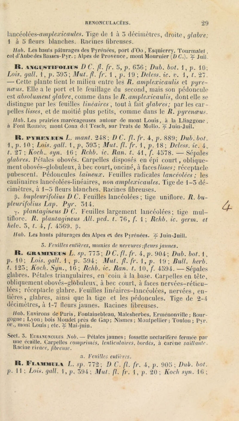 lancéolées-amplcxicaules. Tige île 1 à 3 décimètres, droite, glabre; 1 à 5 fleurs blanches. Racines fibreuses. liai). Les hauts pâturages des Pyrénées, port d'Oo, Esquicrry, Tourmalel . col d'Aubedes Basses-Pyr. ; Alpes de Provence, mont Mournier (D C.). Juif. ■S. AMGijSTiPoiiius D C. fl. fr. 3, p. 656 ; Dub. bot. 1, p. 10; Lois. gall. 1, p. 595; Mut. fl. fr. 1 , p. 19 ; Deless. ic. v. J, t. 27. — Cette plante tient le milieu entre les R. amplexicaulis et pyre- nœus. Elle a le port et le feuillage du second, mais son pédoncule est absolument glabre, comme dans le R. amplexicaulis, dont elle se distingue par les feuilles linéaires , tout à fait glabres; par les car- pelles lisses, et de moitié plus petits, comme dans le R. pyrenœus. liai). Les prairies marécageuses autour de mont Louis, «à la Lliaggone, à Font Iloinéo; mont Cona del Tesch, sur Prats de Mollo. ^ Juin-Juil. R. PinEii Eiis L. mant. 248 ; D C. fl. fr. 4, p. 889; Dub. bot. J, p. 10 ; Lois. gall. 1, p, 593 ; Mut. fl. fr. 1, p. 18 ; Deless. ic. 4, t. 27 ; Koch., syn. 16; Rchb. ic. Ran. t. 41, f. 4578. — Sépales glabres. Pétales obovés. Carpelles disposés en épi court, oblique- ment obovés-globuleux, à bec court, onciné, «à faces lisses ; réceptacle pubescent. Pédoncules laineux. Feuilles radicales lancéolées ; les caulinaires lancéolées-linéaires, non amplcxicaules. Tige de 1-5 dé- cimètres, à 1-5 fleurs blanches. Racines fibreuses. p. buplcurifolius D C. Feuilles lancéolées ; tige uniflore. R. bu- pleurifolius Lap. Pyr. 514. T. plantagineus I) C. Feuilles largement lancéolées; lige mul- tiflore. R. plantagineus All.ped. t. 76, f. 1; Rchb. ic. germ. et helo. 5, t. 4, f. 4569. p. Ilab. Les hauts pâturages des Alpes et des Pyrénées. ^ Juin-Juill. 5. Feuilles entières, munies de nervures ; fleurs jaunes. U. gr%mneii§ L. sp. 773 ; D C. fl. fr. 4, p. 904 ; Dub. bot. 1, p. 10; Lois. gall. 1 , p. 594; Mut. fl. fr. 1, p. 19; Rull. herb. t. 125; Koch. Syn., 16 ; Rchb. ic. Ran. t. 10, f. 4594. —Sépales glabres. Pétales triangulaires, en coin à la base. Carpelles en tète, obliquement obovés-glôbuleux, à bec court, à faces nervées-réticu- lées; réceptacle glabre. Feuilles linéaires-lancéolées, nervées, en- tières , glabres, ainsi que la tige et les pédoncules. Tige de 2-4 décimètres, à 4-7 fleurs jaunes. Racines fibreuses. Ilab. Environs de Paris, Fontainebleau, Malesherbes, Erméuonville ; Bour- gogne; Lyon; bois Moudct près de Gap; Nismes; Montpellier; Toulon; Pyr. or., mont Louis; etc. 2C Mai-juin. Sect. 5. Euiununculus Nob.— Pétales jaunes ; fossette neefarifère fermée par une écaille. Carpelles comprimés, lenticulaires, bordes, à carène saillante. Racine vivace, fibreuse. a. Feuilles entières. R. l i vMMiM L. sp. 772; I) C. fl. fr. 4, p. 905; Dub. bot. p. 11 ; Lois. gall. I, p. 394; Mut. fl. fr. 1, p. 20 ; Koch syn. 16 ;