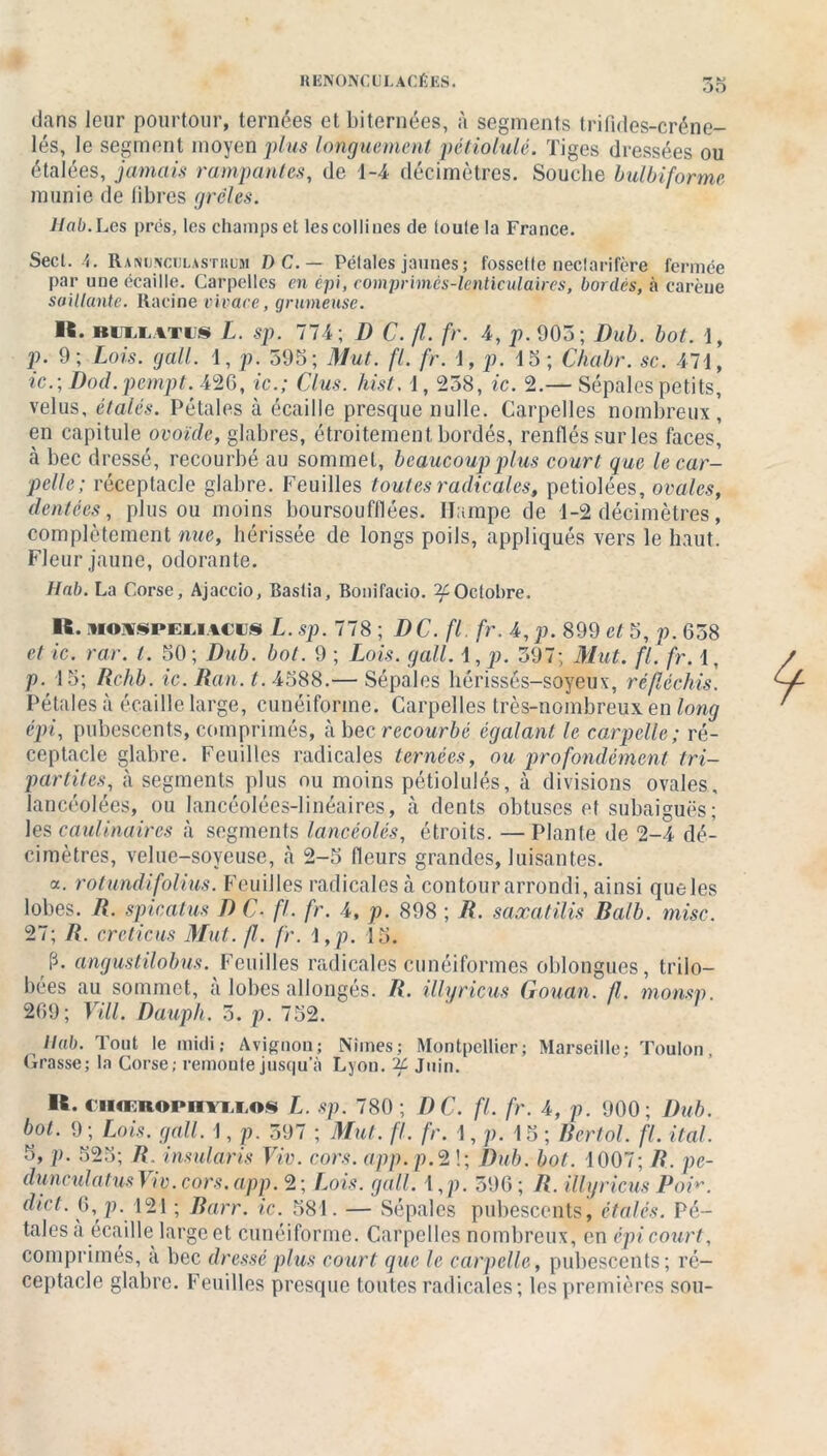 dans leur pourtour, ternées et Internées, à segments trifides-créne- lés, le segment moyen plus longuement pétioiulé. Tiges dressées ou étalées, jamais rampantes, de 1-4 décimètres. Souche bulbiforme munie de libres grcles. Hab.Les prés, les champs et les collines de loule la France. Secl. I. Ranuncijustbum D C. — Pétales jaunes; fossette neclarifère fermée par une écaille. Carpelles en épi, comprimès-lenticulaires, bordes, à carène saillante. Racine vivace, grumeuse. Iï. imivn* L. sp. 774; D C. fl. fr. 4, p. 905; Dub. bot. 1, p. 9; Lois. gall. 1, p. 595; Mut. fl. fr. 1, p. 15 ; Chabr. sc. 471, ic.; Dod. pempt. 420, ic.; Clus. hist. 1,258, ic. 2.— Sépales petits, velus, étalés. Pétales à écaille presque nulle. Carpelles nombreux, en capitule ovoïde, glabres, étroitement bordés, renflés sur les faces, à bec dressé, recourbé au sommet, beaucoup plus court que le car- pelle; réceptacle glabre. Feuilles toutes radicales, petiolées, ovales, dentées, plus ou moins boursoufllées. ITampe de 1-2 décimètres, complètement nue, hérissée de longs poils, appliqués vers le haut. Fleur jaune, odorante. Hab. La Corse, Ajaccio, Bastia, Bonifacio. ^Octobre, H. ihoi§peliaci}§ L. sp. 778 ; DC. fl. fr. 4, p. 899 et 5, p. 658 et ic. rar. t. 50 ; Dub. bot. 9 ; Lois. gall. 1, p. 597; Mut. fl.fr. 1 p. 15; Rchb. ic. Ran. t. 4588.— Sépales hérissés-soyeux, réfléchis. Pétales à écaille large, cunéiforme. Carpelles très-nombreux en long épi, pubescents, comprimés, à bec recourbé égalant le carpelle; ré- ceptacle glabre. Feuilles radicales ternées, ou profondément tri- partites, à segments plus ou moins pétiolulés, à divisions ovales, lancéolées, ou Iancéolées-Iinéaires, à dents obtuses et subaiguës; les caulinaircs à segments lancéolés, étroits. — Plante de 2-4 dé- cimètres, velue-soyeuse, à 2-5 fleurs grandes, luisantes. a. rotundifolius. Feuilles radicales à contour arrondi, ainsi queles lobes. R. spicatus D C fl. fr. 4, p. 898 ; R. saxatilis Balb. mise. 27; R. crcticus Mut. fl. fr. 1 ,p. 15. p. angustilobus. Feuilles radicales cunéiformes oblongues, trilo- bées au sommet, à lobes allongés. R. illyricus Gouan. fl. monsp. 209; Vill. Dauph. 5. p. 752. Hab. Tout le midi; Avignon; Nîmes; Montpellier; Marseille; Toulon, tirasse; la Corse; remonte jusqu’à Lyon, if Juin. H. ciiœrophyixos L. sp. 780 ; DC. fl. fr. 4, p. 900; Dub. bot. 9 ; Lois. gall. 1, p. 597 ; Mut. fl. fr. 1, p. 15 ; Ber fol. fl. ital. 5, p. 525; R insularis Viv. cors, app.p.2!; Dub. bot. 1007; R. pc- dunculatus Viv. cors. app. 2; Lois. gall. I, p. 596 ; R. illyricus Poi♦*. dict. 6, p. 121 ; Rarr. ic. 581. — Sépales pubescents, étalés. Pé- tales à écaille large et cunéiforme. Carpelles nombreux, en épi court, comprimés, a bec dressé plus court que le carpelle, pubescents; ré- ceptacle glabre. Feuilles presque toutes radicales; les premières sou-