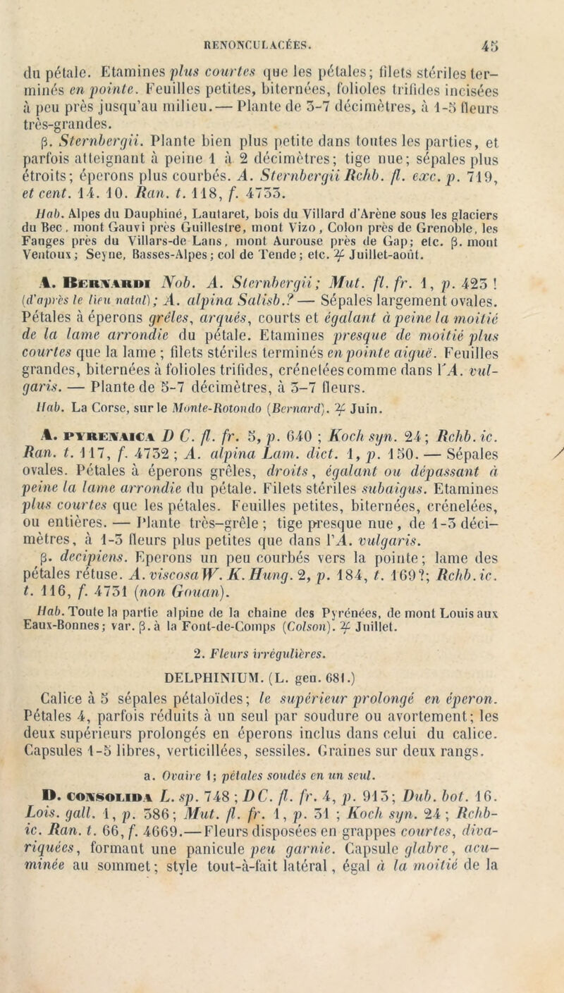du pétale. Etamines plus courtes que les pétales; lilets stériles ter- minés en pointe. Feuilles petites, Internées, folioles trifides incisées à peu près jusqu’au milieu.— Plante de 3-7 décimètres, à 1-5 fleurs très-grandes. (3. Sternbergii. Plante bien plus petite dans toutes les parties, et parfois atteignant à peine 1 à 2 décimètres; tige nue; sépales plus étroits; éperons plus courbés. A. Sternbergii Rchb. fl. exc.p. 719, et cent. 14. 10. Ban. t. 118, f. 4755. Hab. Alpes du Dauphiné, Laularet, bois du Villard d'Arène sous les glaciers du Bec. mont Gauvi près Guillestre, mont Vizo, Colon près de Grenoble, les Fanges près du Villars-de Lans, mont Aurouse près de Gap; elc. [3. mont Ventoux; Seyne, Basses-Alpes; col de Tende; etc. Juillet-août. 4. Hi:ii\ak»i Nob. A. Sternbergii ; Mut. fl.fr. 1, p. 425! (d'après le lieu natal); il. alpina Salisb.? — Sépales largement ovales. Pétales à éperons grêles, arqués, courts et égalant à peine la moitié (le la lame arrondie du pétale. Etamines presque de moitié plus courtes que la lame ; filets stériles terminés en pointe aigue. Feuilles grandes, biternées à folioles trifides, crénelées comme dans VA. vul- garis. — Plante de 5-7 décimètres, à 3-7 fleurs. llab. La Corse, sur le Munte-Rotondo (Bernard). % Juin. .4. PYREiAic v B C. fl. fr. 5, p. 640 ; Koch syn. 24; Rclib. ic. Ran. t. 117, f. 4752 ; A. alpina Lam. dict. 1, p. 150. — Sépales ovales. Pétales à éperons grêles, droits, égalant ou dépassant à peine la lame arrondie du pétale. Filets stériles subaigus. Etamines plus courtes que les pétales. Feuilles petites, biternées, crénelées, ou entières. — Plante très-grêle; tige presque nue, de 1-3 déci- mètres, à 1-5 fleurs plus petites que dans VA. vulgaris. p. decipicns. Eperons un peu courbés vers la pointe; lame des pétales rétuse. A.viscosaW. K.Hung. 2, p. 184, t. 169?; Rclib. ic. t. 116, f. 4751 (non Gouan). Hab. Toute la partie alpine delà chaîne des Pyrénées, de mont Louis aux Eaux-Bonnes; var. (3.à la Font-de-Comps (Colson). Juillet. 2. Fleurs irrégulières. DELPHINIUM. (L. gen.681.) Calice à 5 sépales pétaloïdes; le supérieur prolongé en éperon. Pétales 4, parfois réduits à un seul par soudure ou avortement; les deux supérieurs prolongés en éperons inclus dans celui du calice. Capsules 1-5 libres, verticillées, sessiles. Graines sur deux rangs. a. Ovaire 1; pétales soudés en un seul. D. consolida L. sp. 748 ; DC. fl. fr. 4, p. 915; Dub. bot. 16. Lois, g ail. 1, p. 586; Mut. fl. fr. 1, p. 51 ; Koch syn. 24 ; Rchb- ic. Ran. t. 66, f. 4669.— Fleurs disposées en grappes courtes, diva- riquées, formant une panicule peu garnie. Capsule glabre, acu- minée au sommet; style tout-à-fait latéral, égal à la moitié de la