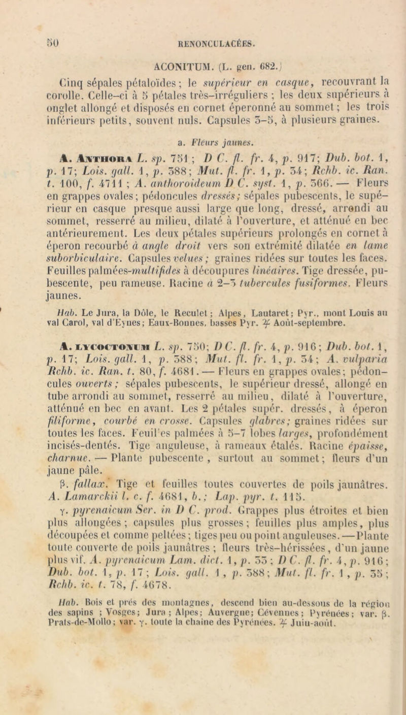 ACONITUM. (L. gen. 682. Cinq sépales pétaloïdes ; le supérieur en casque, recouvrant la corolle. Celle-ci à 5 pétales très-irréguliers ; les deux supérieurs à onglet allongé et disposés en cornet éperonné au sommet ; les trois inférieurs petits, souvent nuis. Capsules 5-5, à plusieurs graines. a. Fleurs jaunes. A. Vvnion \ L. sp. 751 ; D C. jl. fr. 4, p. 917; Dub. bot. 1, p. 17; Lois, g ail. 1, p. 588; Mut. //. fr. 1, p. 54; Rchb. ic. Ran. t. 100, f. 4711 ; A. anthoroideum J) C. syst. 1, p. 566. — Fleurs en grappes ovales; pédoncules dressés; sépales pubescents, le supé- rieur en casque presque aussi large que long, dressé, arrondi au sommet, resserré au milieu, dilaté à l’ouverture, et atténué en bec antérieurement. Les deux pétales supérieurs prolongés en cornet à éperon recourbé à angle droit vers son extrémité dilatée en lame suborbiculaire. Capsules velues ; graines ridées sur toutes les faces. Feuilles pnUnèes-multifides à découpures linéaires. Tige dressée, pu- bescente, peu rameuse. Racine a 2-5 tubercules fusiformes. Fleurs jaunes. Hab. Le Jura, la Dole, le Reculet ; Alpes, Lautaret; Pyr., mont Louis au val Carol, val d’Evues; Eaux-Bonnes, basses Pyr. Août-septembre. A. lycoctonuim L. sp. 750; I) C. fl. fr. 4, p. 916; Dub. bot. 1, p. 17; Lois. gall. 1, p. 588; Mut. fl. fr. 1, p. 54; A. vulparia Rchb. ic. Ran. t. 80, f. 4681. — Fleurs en grappes ovales; pédon- cules ouverts ; sépales pubescents, le supérieur dressé, allongé en tube arrondi au sommet, resserré au milieu, dilaté à l’ouverture, atténué en bec en avant. Les 2 pétales super, dressés, à éperon filiforme, courbé en crosse. Capsules glabres; graines ridées sur toutes les faces. Fend es palmées à 5-7 lobes larges, profondément incisés-dentés. Tige anguleuse, à rameaux étalés. Racine épaisse, charnue. — Plante pubescente , surtout au sommet; Heurs d’un jaune pâle. p. fallax.' Tige et feuilles toutes couvertes de poils jaunâtres. A. Lamarchii l. c. f. 4681, b.; Lap. pyr. t. 115. y. pyrcnaicum Ser. in D C. prod. Grappes plus étroites et bien plus allongées; capsules plus grosses; feuilles plus amples, plus découpées et comme peltées ; tiges peu ou point anguleuses.—Plante toute couverte de poils jaunâtres ; fleurs très-hérissées, d’un jaune plus vif. .4. pyrcnaicum Lam. dict. 1, p. 55; DC. fl. fr. 4 ,p. 916; Dub. bot. I, p. 17; Lois. gall. 1 , p. 588; Mut. fl. fr. 1 , p. 55; Rchb. ic. t. 78, f. 4678. Ilab. Bois et prés des montagnes, descend bien au-dessous de la région des sapins ; Vosges; Jura ; Alpes; Auvergne; Cévennes ; Pyrénées; var. [i. Prats-de-Mollo; var. y. tonie la chaîne des Pyrénées. ^ Juin-août.