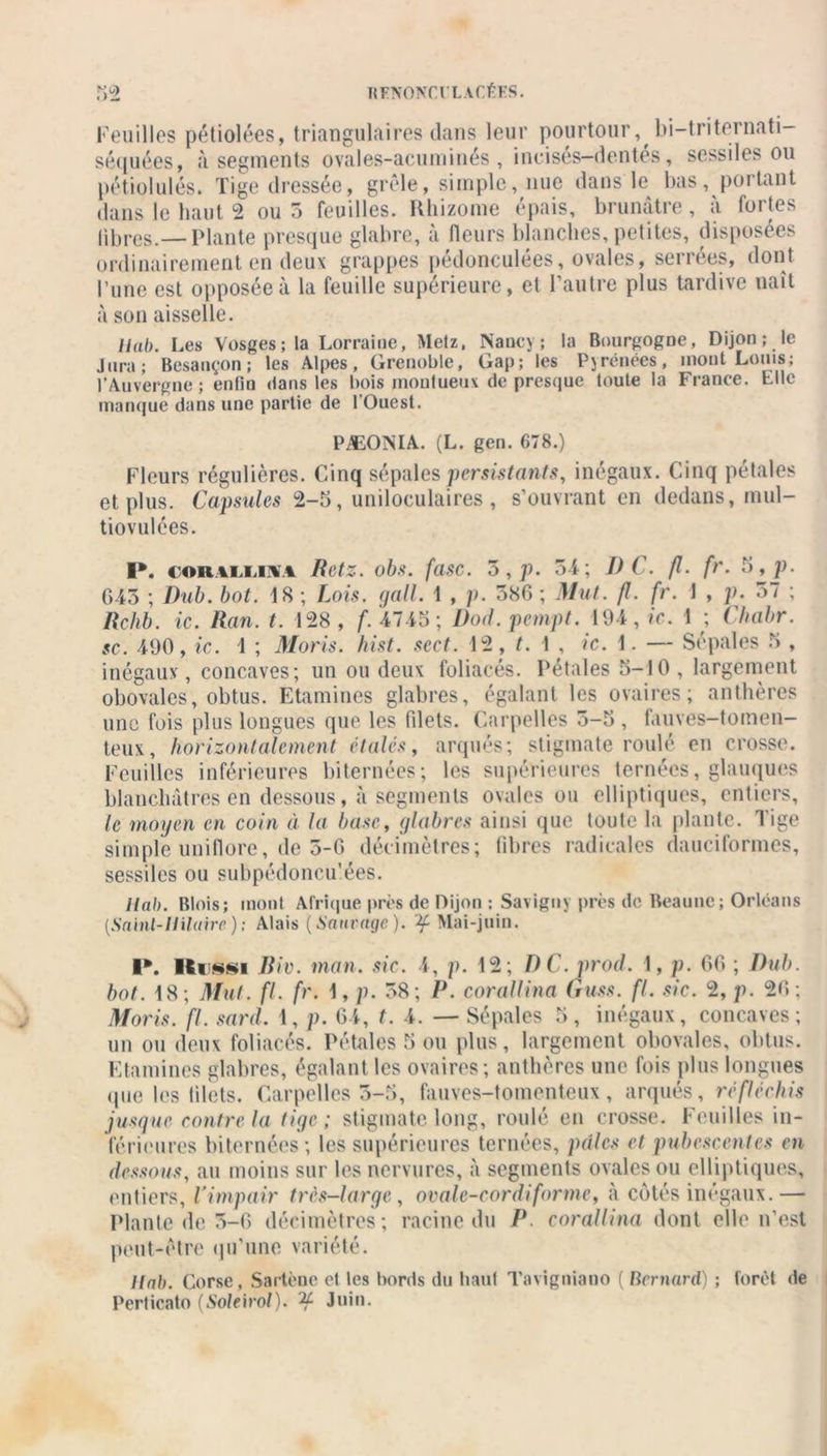 Feuilles pétiolées, triangulaires dans leur pourtour, bi-triternati- séquées, à segments ovales-acuminés , ineisés-dentés, sessiles ou pétiolulés. Tige dressée, grêle, simple, nue dans le bas, portant dans le haut 2 ou 5 feuilles. Rhizome épais, brunâtre, à fortes libres.— Plante presque glabre, à fleurs blanches, petites, disposées ordinairement en deux grappes pédonculées, ovales, serrées, dont l’une est opposée à la feuille supérieure, et l’autre plus tardive naît à son aisselle. Hab. Les Vosges; la Lorraine, Metz, Nancy; la Bourgogne, Dijon; le Jura; Besançon; les Alpes, Grenoble, Gap; les Pyrénées, mont Louis; l’Auvergne; enfin dans les bois inontueux de presque toute la France. Elle manque dans une partie de l’Ouest. PÆONIA. (L. gen. 678.) Fleurs régulières. Cinq sépales persistants, inégaux. Cinq pétales et plus. Capsules 2-5, uniloculaires , s’ouvrant en dedans, mul- tiovulées. P. caralliaa R et z. obs. fasc. 5, p. 51; D C. fl. fr. 5 ,p. 643 ; Dub. bot. 18 ; Lois. gall. 1 , p. 586 ; Mut. fl. fr. 1 , p. 57 ; Rchb. ic. Ran. t. 128, f. 4745; Dod. pempt. 194, ic. 11 ; Chabr. sc. 190, ic. 1 ; Moris. hist. sect. 12, t. 1 , ic. 1. — Sépales 5 , inégaux, concaves; un ou deux foliacés. Pétales 5-10 , largement obovales, obtus. Etamines glabres, égalant les ovaires; anthères une fois plus longues que les fdets. Carpelles 5-5, fauves-tomen- teux, horizontalement étales, arqués; stigmate roulé en crosse. Feuilles inférieures Internées; les supérieures tentées, glauques blanchâtres en dessous, à segments ovales ou elliptiques, entiers, le moyen en coin à la base, glabres ainsi que toute la plante. Tige simple uni flore, de 5-6 décimètres; libres radicales dauciformes, sessiles ou subpédoncu’ées. Ilab. Blois; mont Afrique près de Dijon : Savigny près de Beaunc; Orléans {Saint-Hilaire ) ; Alais ( Saurage ). Mai-juin. P. Rio. man. sic. 4, p. 12; PC. prod. 1, p. 66 ; Dub. bot. 18; Mut. fl. fr. 1, />. 58; P. corallina Guss. fl. sic. 2, p. 26; Moris. fl. sard. 1, p. 64, t. 4. — Sépales 5, inégaux, concaves; un ou deux foliacés. Pétales 5 ou plus, largement obovales, obtus. Etamines glabres, égalant les ovaires; anthères une fois plus longues que les lilets. Carpelles 3-5, fauves-tomenteux, arqués, réfléchis jusque contre la tige; stigmate long, roulé en crosse. Feuilles in- férieures Internées; les supérieures tentées, pâles et pubescentes en dessous, au moins sur les nervures, à segments ovales ou elliptiques, entiers, l’impair très-large, ovale-cordi forme, à côtés inégaux.— Plante de 5-6 décimètres; racine du P. corallina dont elle n’est peut-être qu’une variété. Ilab. Corse, Sartène et les bords du haut Tavigniano ( Bernard) ; forêt de Perlicato (Soleirol). '*f Juin.