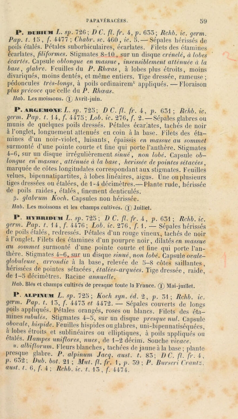 P. nuniiM L. sp. 726 ; 1) C. fl. fr. 4, p. G53; Rchb. ic. germ. Pap. t. 15, f. 4477 ; Chabr. sc. 460, ic. 5. — Sépales hérissés de poils étalés. Pétales suborbiculaires, écarlates. Filets des étamines écarlates, filiformes. Stigmates 8-10, sur un disque crénelé, à lobes écartés. Capsule oblongue en massue, insensiblement atténuée à la base, glabre. Feuilles du P. Ithœas, à lobes plus étroits, moins divariqués, moins dentés, et même entiers. Tige dressée, rameuse ; pédoncules très-longs, h poils ordinairem1 appliqués. — Floraison plus précoce que celle du P. Rhœas. Hab. Les moissous. (T, Avril-juin. P. arciemohe L. sp. 725; D C. fl. fr. 4 , p. 631 ; Rchb. ic. germ. Pap. t. 14, f. 4475; Lob. ic. 27G, f. 2. — Sépales glabres ou munis de quelques poils dressés. Pétales écarlates, tachés de noir à l'onglet, longuement atténués en coin à la base. Filets des éta- mines d’un noir-violet, luisants, épaissis en massue au sommet surmonté d’une pointe courte et fine qui porte l’anthère. Stigmates 4-6, sur un disque irrégulièrement sinué, non lobé. Capsule ob- longue en massue , atténuée à la base, hérissée de pointes sétacées, marquée de côtes longitudales correspondant aux stigmates. Feuilles velues, bipennatipartites, à lobes linéaires, aigus. Une ou plusieurs tiges dressées ou étalées, de 1-4 décimètres.— Plante rude, hérissée de poils raides, étalés, finement denticulés. p* glabrum Koch. Capsules non hérissée. Hab. Les moissons et les champs cultivés, (f) Juillet. P. ■■ vitiiiDi u L. sp. 725 ; D C. fl. fr. 4, p. 631 ; Rchb. ic. germ. Pap. t. 14, f. 4476; Lob. ic. 276, f. 1. — Sépales hérissés de poils étalés, redressés. Pétales d’un rouge vineux, tachés de noir à l’onglet. Filets des étamines d’un pourpre noir, dilatés en massue au sommet surmonté d’une pointe courte et fine qui porte l’an- thère. Stigmates 4-6, sur un disque sinué, non lobé. Capsule ovale- globuleuse, arrondie à la base, relevée de 5-8 côtes saillantes, hérissées de pointes sétacées, étalées-arquées. Tige dressée, raide, de 1-5 décimètres. Racine annuelle. Hab. Blés et champs cultivés de presque toute la France. (T) Mai-juillet. P. %i i*i\i h L. sp. 725; Koch syn. éd. 2, p. 31 ; Rchb. ic. germ. Pap. t. 13, f. 4475 et 4472. — Sépales couverts de longs poils appliqués. Pétales orangés, roses ou blancs. Filets des éta- mines subtiles. Stigmates 4-5, sur un disque presque nul. Capsule obovale, hispide. Feuilles hispidesouglabres, uni-bipennatiséquées, a lobes étroits et sublinéaires ou elliptiques, à poils appliqués ou étalés, trompes uniflores, nues, de 1-2 décim. Souche vivace. a. albiflorum. Fleurs blanches, tachées de jaune à la base; plante presque glabre. P. alpinum Jacq. aust. t. 83; T) C. fl. fr. 4, p. 652; Du b. bot. 21 ; Mut. fl. fr. 1, p. 59 ; P. Burseri Crantz. aust. t. 6, f. 4 ; Rchb. ic. t. 15, f. 4474.