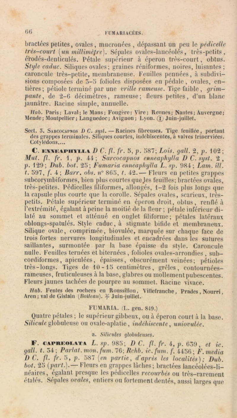 Fl MARI ACRES. bractées petites, ovales, mucronées , dépassant un peu 1 c pédicelle très-court (un millimètre). Sépales ovales-lancéolés, très-petits, érodés-denticulés. Pétale supérieur à éperon très-court, obtus. Style caduc. Siliques ovales; graines réniformes, noires, luisantes; caroncule très-petite, membraneuse. Feuilles pennées, à subdivi- sions composées de 3-0 folioles disposées en pédale, ovales, en- tières; pétiole terminé par une vrille rameuse. Tige faible, grim- pante, de 2-0 décimètres, rameuse; fleurs petites, d'un blanc jaunâtre. Racine simple, annuelle. Ilab. Paris; Laval; le Mans; Fougère; Vire; Rennes; Nantes; Auvergne; Mende; Montpellier; Languedoc; Avignon; I.\ou. (jQ Juin-juillet. Sect. 5. Saucocapnos D C. sijsl.— Racines fibreuses. Tige feuillée, portant des grappes terminales. Siliques courtes, indéhiscentes, à valves trinerviées. Cotylédons.... C. faafapiivi.i.a 1) C. fl. fr. 5, p. 587; Lois. gall. 2, p. 102; Mut. fl. fr. 1. p. 44 ; Sarcocapnos enneaphylla D C. syst. 2, p. 429; Dub. bot. 25; Fumaria enneaphylla L. sp. 984; Larn. ill. t. 597, f. 4 ; Barr. obs. n° 805, t. 42.— Fleurs en petites grappes subcorymbiformes, bien plus courtes que Jes feuilles; bractées ovales, très-petites. Pédicelles filiformes, allongés, 4-2 fois plus longs que la capsule plus courte que la corolle. Sépales ovales, scarieux, très- petits. Pétale supérieur terminé en éperon droit, obtus, renflé à l’extrémité, égalant à peine la moitié de la fleur ; pétale inférieur di- laté au sommet et atténué en onglet fdiforme; pétales latéraux oblongs-spatulés. Style caduc, à stigmate bifide et membraneux. Silique ovale, comprimée, biovulée, marquée sur chaque face de trois fortes nervures longitudinales et encadrées dans les sutures saillantes, surmontée par la base épaisse du style. Caroncule nulle. Feuilles ternées etbiternées, folioles ovales-arrondies , sub- cordiformes, apiculées, épaisses, obscurément veinées; pétioles très-longs. Tiges de 40 - 45 centimètres, grêles, contournées- rameuses, fruticuleuses à la base, glabres ou mollement pubescentes. Fleurs jaunes tachées de pourpre au sommet. Racine vivace. Uab. Fentes des rochers en Roussillon, Villefranche, Prades, Nourri. Aren ; val de Gistain (Boileau), if Juin-juillet. FUMARIA. (L. gen. 8'<9.) Quatre pétales ; le supérieur gibbeux, ou à éperon court à la base. Silicule globuleuse ou ovale-aplatie, indéhiscente, uniovulée. a. Silicules globuleuses. F. caprf.oi.ata L. sp. 985; I) C. fl. fr. 4, p. 039, et ic. gall. t. 54 ; Parlai, mon. fum. 76; Bchb. ic. fum. f. 4450 ; F. media DC. fl. fr. 5, p. 587 (en partie, d'ajirès les localités); Dub. bot. 25 (part.).— Fleurs en grappes lâches; bractées lancéolées-li- néaires, égalant presque les pédicelles recourbés ou très-rarement étalés. Sépales ovales, entiers ou fortement dentés, aussi larges que