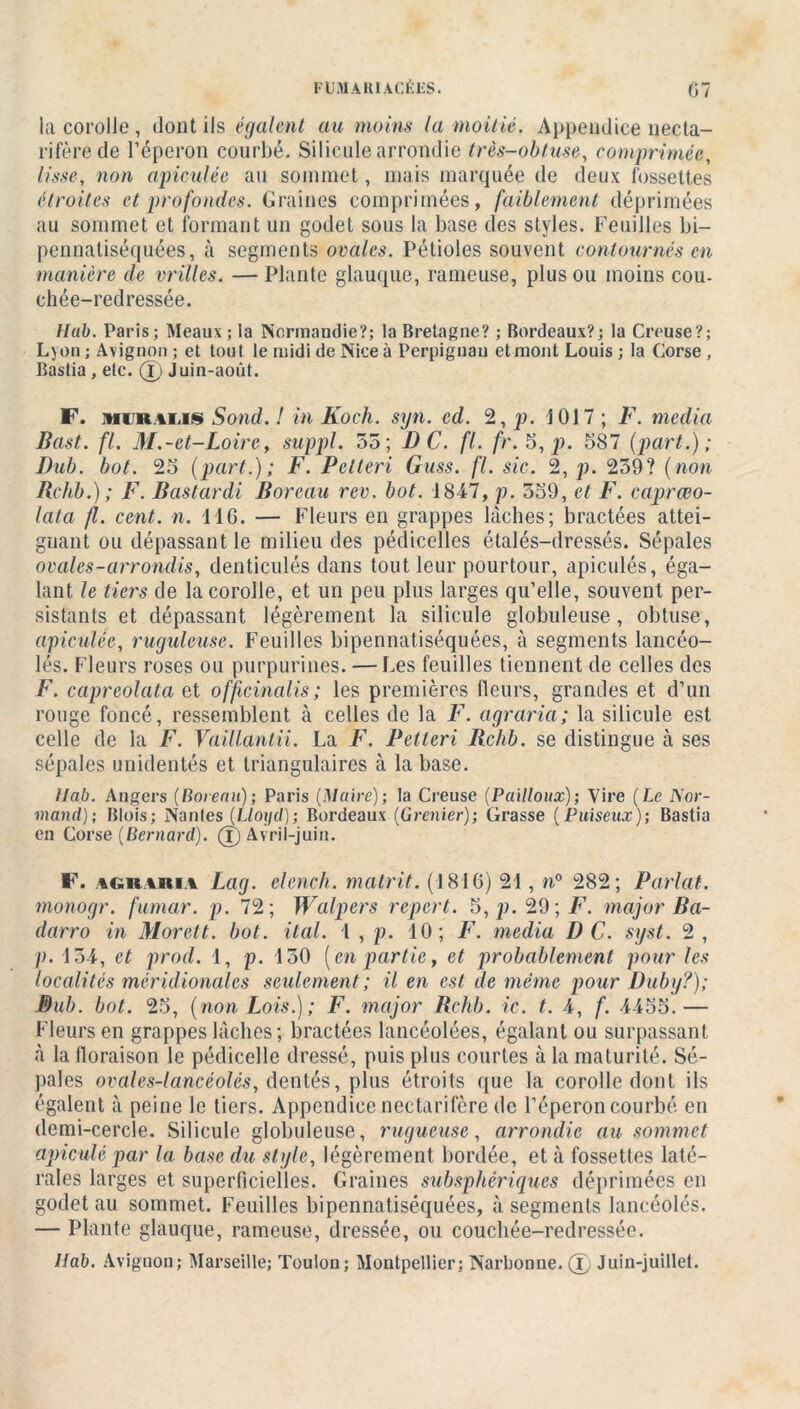 la corolle, dont ils égalent au moins la moitié. Appendice necta- rifèréde l’éperon courbé. Silicule arrondie très-obtuse, comprimée, lisse, non apiculée au sommet, mais marquée de deux fossettes étroites et profondes. Graines comprimées, faiblement déprimées au sommet et formant un godet sous la base des styles. Feuilles bi- pennatiséquées, à segments ovales. Pétioles souvent contournés en manière de vrilles. — Plante glauque, rameuse, plus ou moins cou- chée-redressée. tlab. Paris; Meaux ; la Normandie?; la Bretagne? ; Bordeaux?; la Creuse?; Lyon; Avignon; et tout le midi de Nice à Perpignan et mont Louis; la Corse, Bastia , etc. 0 Juin-août. F. mur.4i.is Sond. ! in Koch. syn. ed. 2, p. 1017 ; F. media Bast. fl. M.-et-LoirCy suppl. 55; DC. fl. fr. 5, p. 587 (part.); Dub. bot. 25 (part.); F. Pelteri Guss. fl. sic. 2, p. 259? (non Rchb.) ; F. Bastardi Borcau rev. bot. 1847, p. 559, et F. caprœo- lala fl. cent. n. 11 G. — Fleurs en grappes lâches; bractées attei- gnant ou dépassant le milieu des pédicelles étalés-dressés. Sépales ovales-arrondis, denticulés dans tout leur pourtour, apiculés, éga- lant le tiers de la corolle, et un peu plus larges qu’elle, souvent per- sistants et dépassant légèrement la silicule globuleuse, obtuse, apiculée, ruguleuse. Feuilles bipennatiséquées, à segments lancéo- lés. Fleurs roses ou purpurines. — Les feuilles tiennent de celles des F. capreolata et officinalis; les premières fleurs, grandes et d’un rouge foncé, ressemblent à celles de la F. agraria; la silicule est celle de la F. Vaillantii. La F. Pelteri Rchb. se distingue à ses sépales unidentés et triangulaires à la base. liai). Angers (Boreau); Paris (Maire); la Creuse (Pailloux); Vire (Le Nor- mand!); Blois; Nanles (Lloyd); Bordeaux (Grenier); Grasse (Puiseux); Bastia en Corse (Bernard), (f) Avril-juin. F. 4GR.4RI.4 Lag. elench. matrit. (1810) 21, n° 282; Parlai, monogr. fumar. p. 72; Walpcrs report. 5, p. 29 ; F. major Ba- darro in Morett. bot. ital. 1 , p. 10; F. media DC. syst. 2 , p. 154, et prod. 1, p. 150 (en partie, et probablement pour les localités méridionales seulement ; il en est de même pour Duby?); Dub. bot. 25, (non Lois.) ; F. major Rchb. ic. t. 4, f. 4455.— Fleurs en grappes lâches; bractées lancéolées, égalant ou surpassant à la floraison le pédicelle dressé, puis plus courtes à la maturité. Sé- pales ovales-lancéolés, dentés, plus étroits que la corolle dont ils égalent à peine le tiers. Appendice nectarifère de l’éperon courbé en demi-cercle. Silicule globuleuse, rugueuse, arrondie au sommet apicule par la base du style, légèrement bordée, et à fossettes laté- rales larges et superficielles. Graines subsphériques déprimées en godet au sommet. Feuilles bipennatiséquées, à segments lancéolés. — Plante glauque, rameuse, dressée, ou couchée-redressée. llab. Avignon; Marseille; Toulon; Montpellier; Narbonne. (T) Juin-juillet.